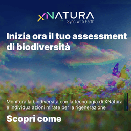 Studio di Impatto Ambientale: le 7 fasi essenziali