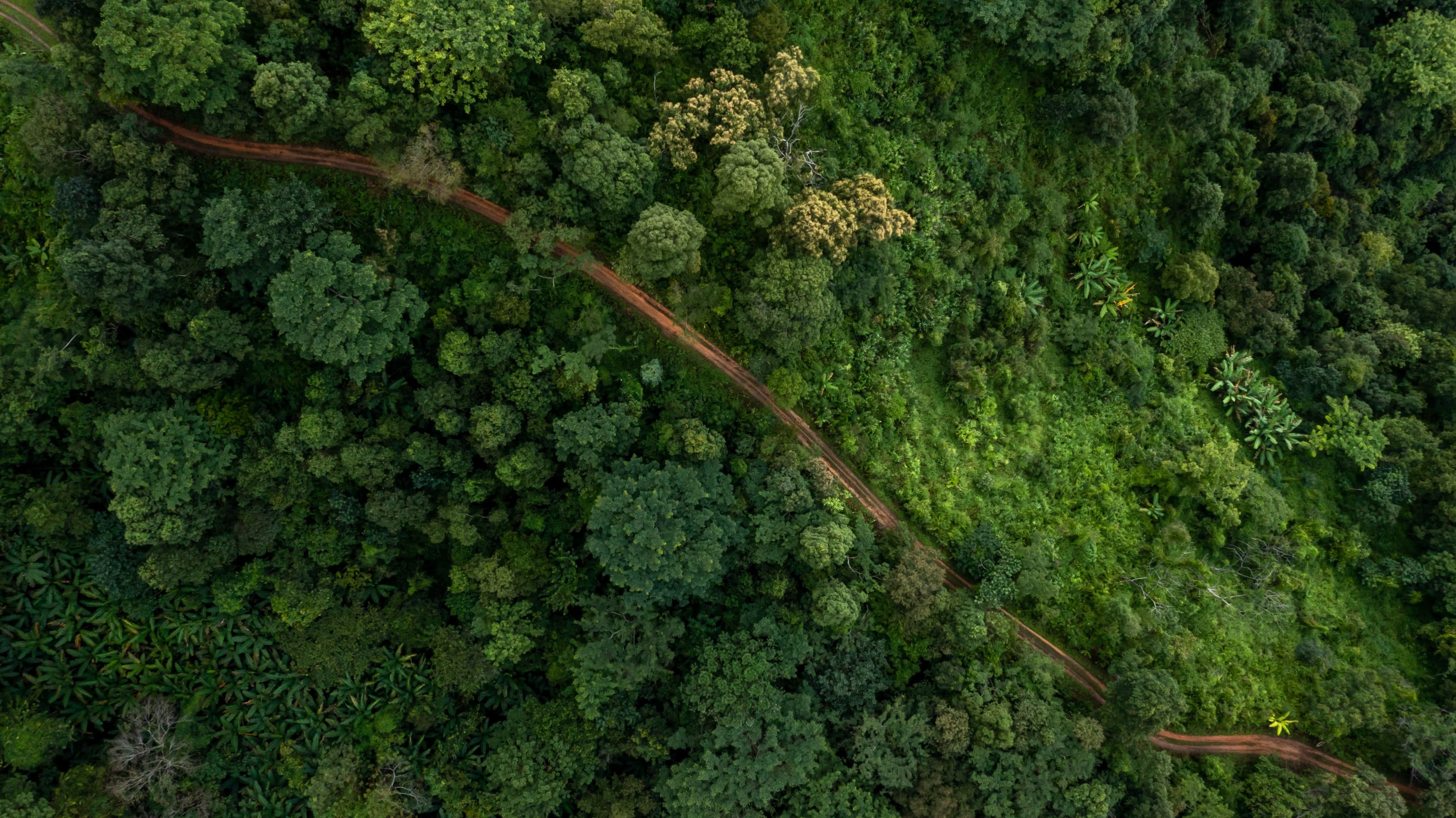 Le réseau RSE : le premier réseau de professionnels du développement durable