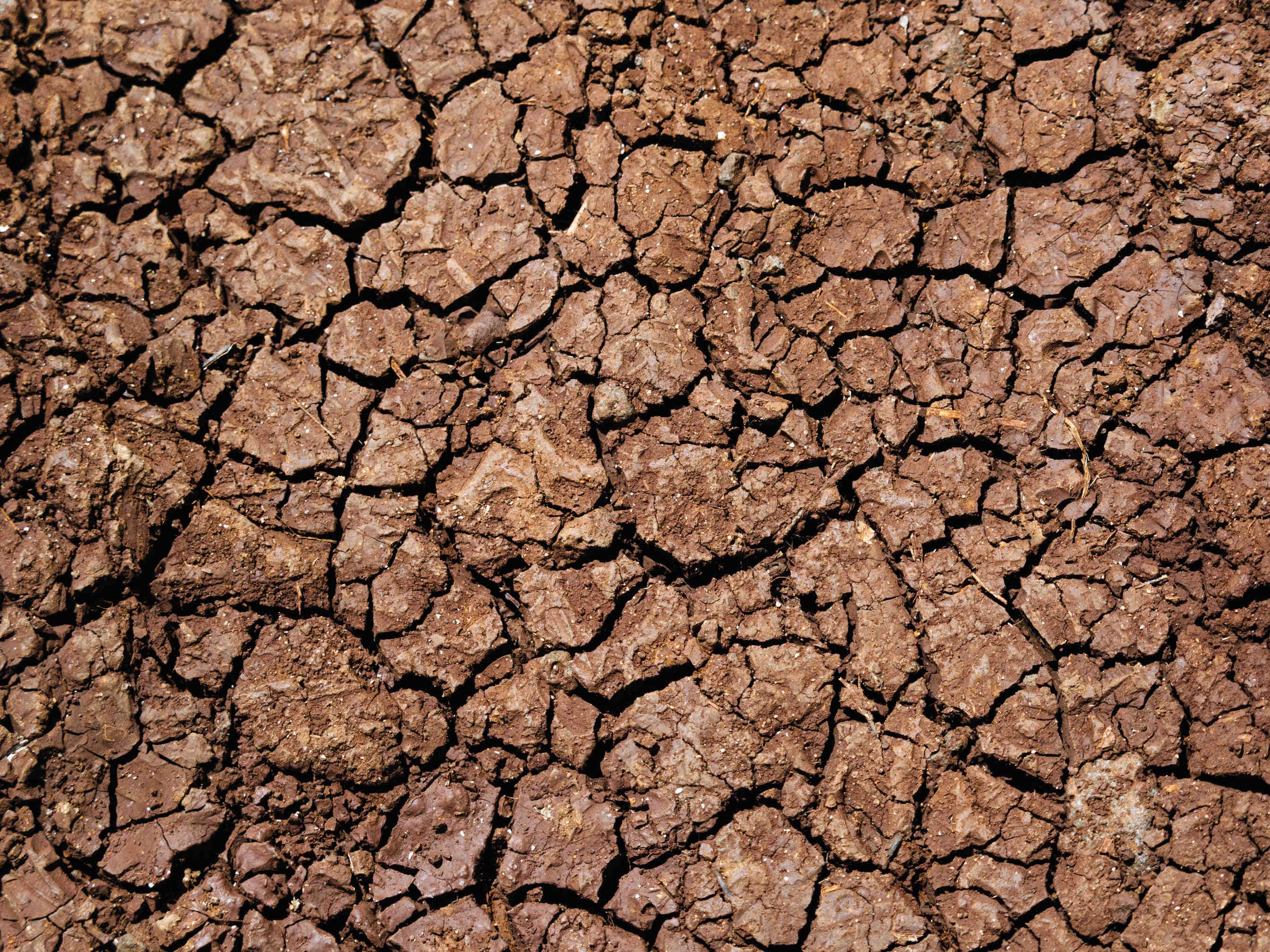 El Niño linked to mass extinction 252 million years ago