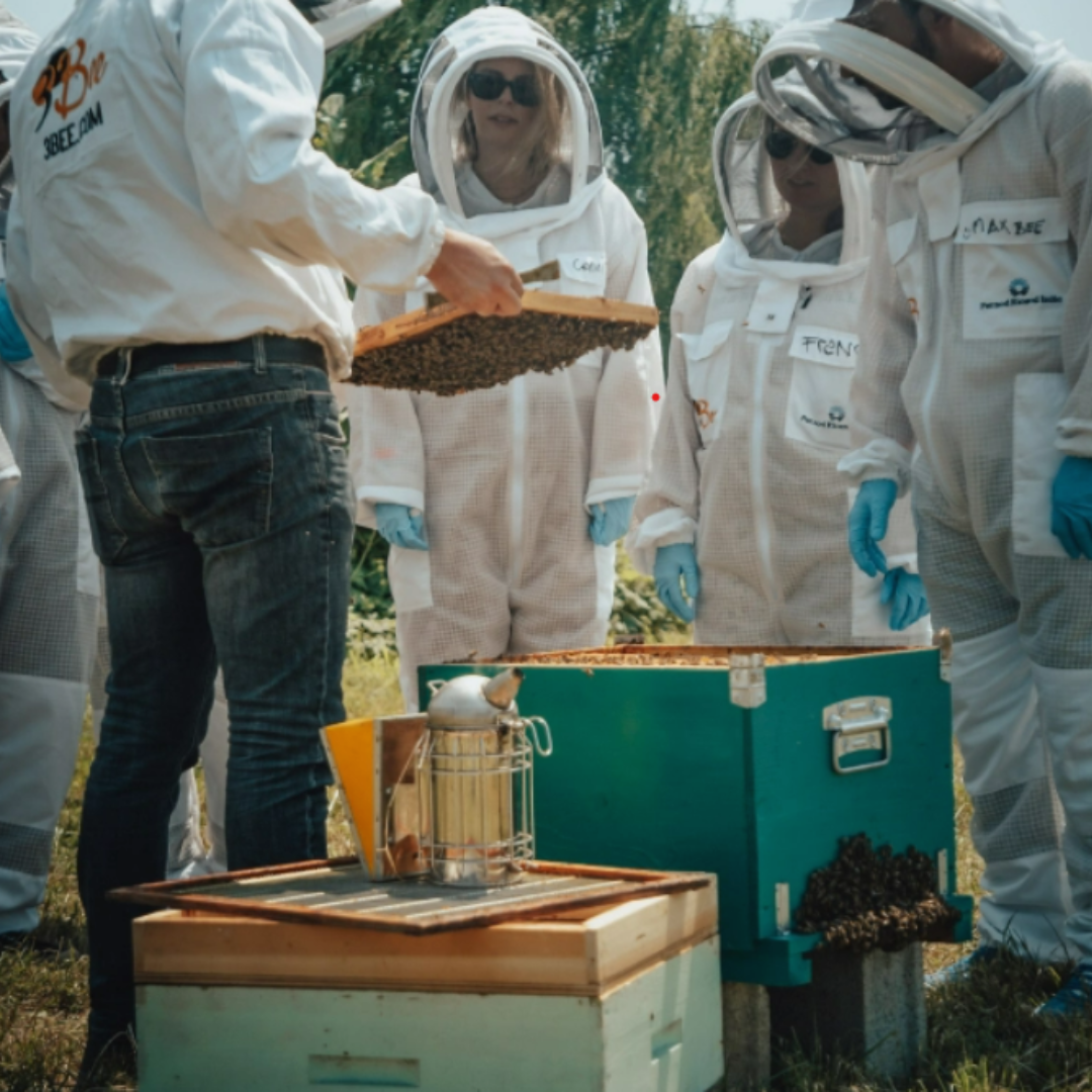 apicoltori apprendimento