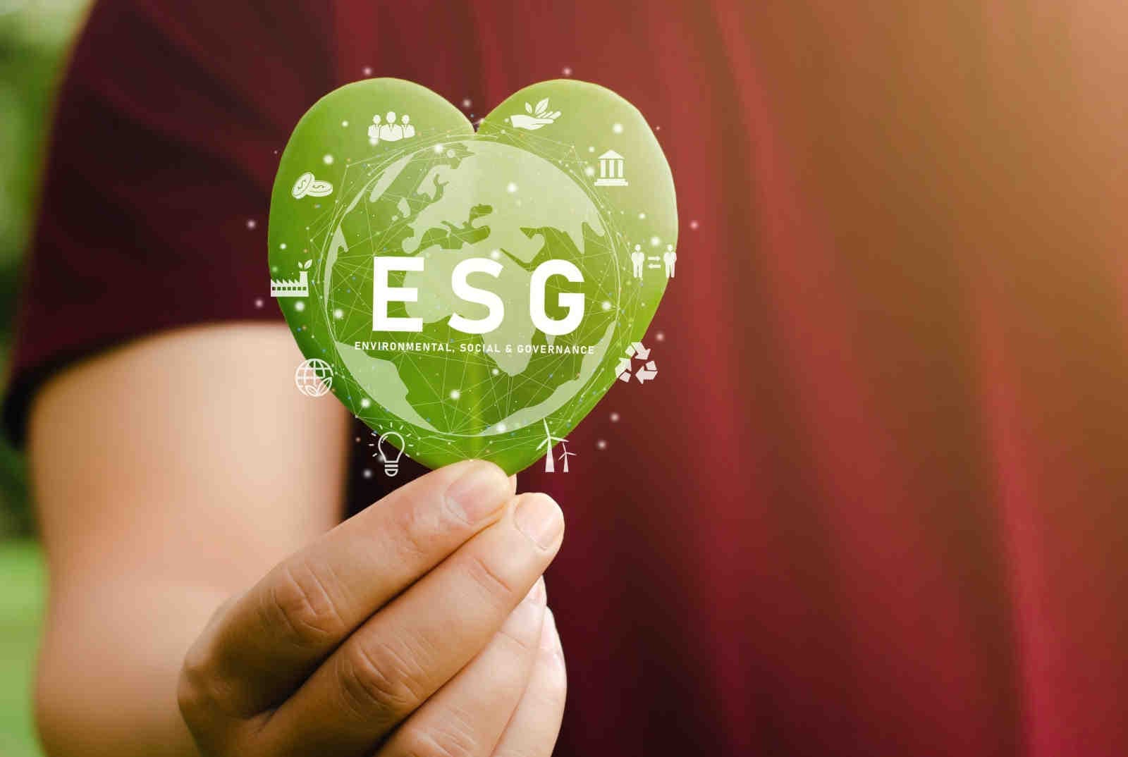 ESG Funds: Nomenclature, Regulation and New Perspectives