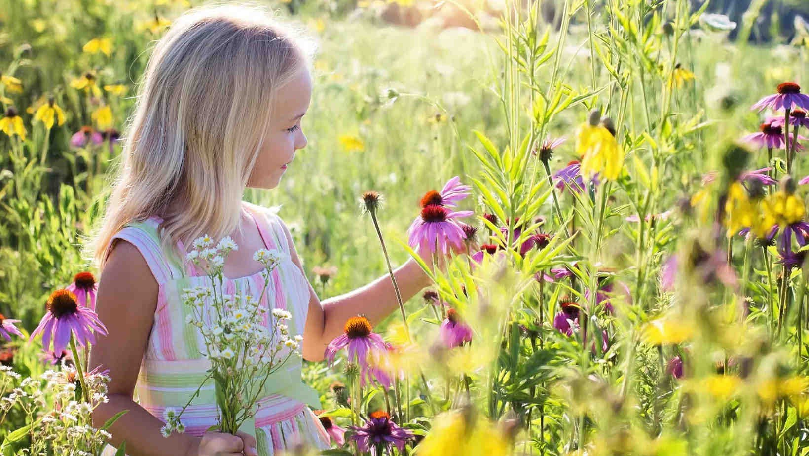 Enfant dans un champs de fleurs