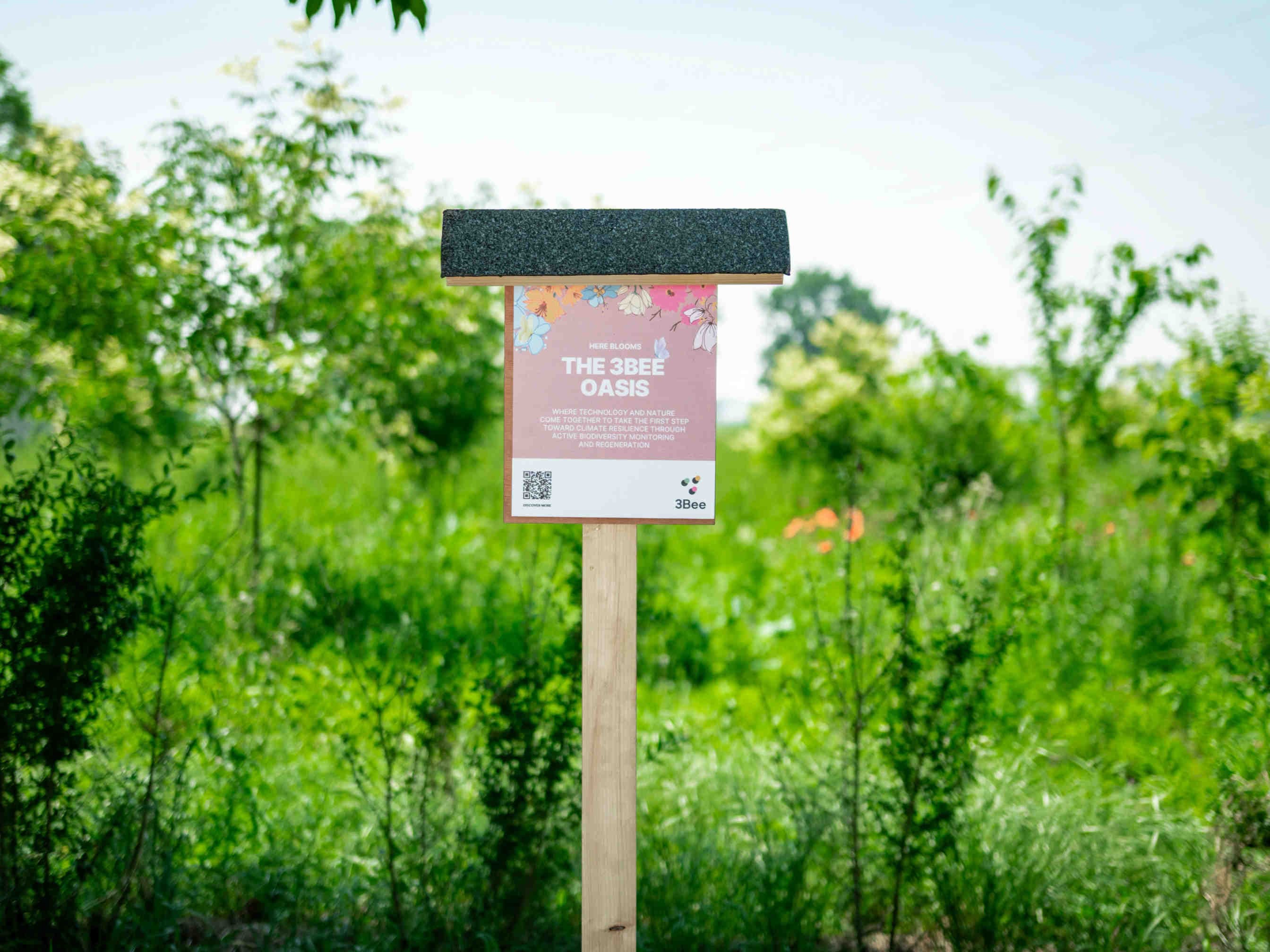 3bee-blog-le-oasi-della-biodiversita-cosa-sono-davvero