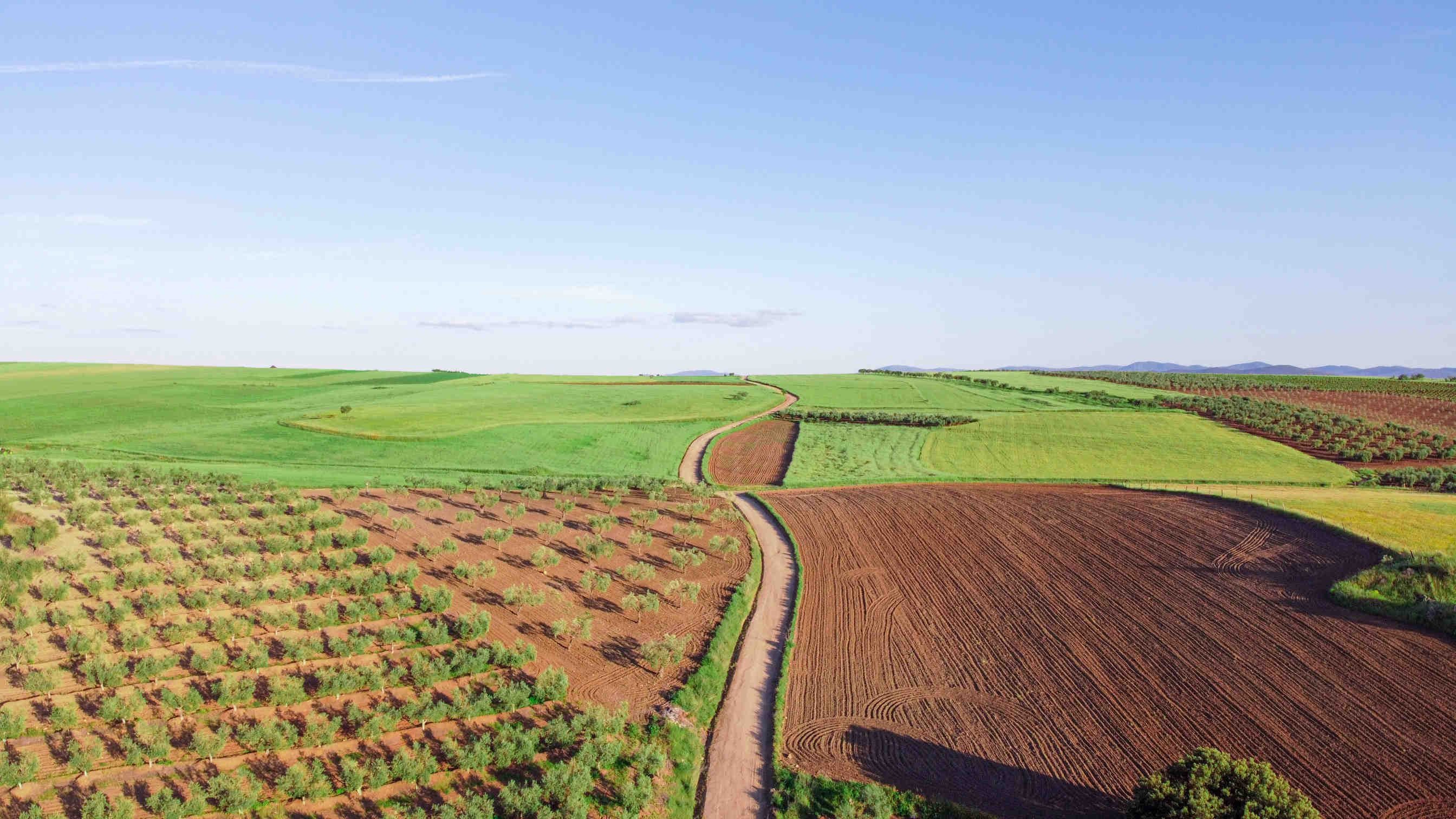 Agricoltura