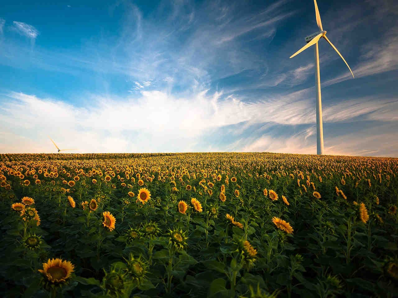 Energia eolica