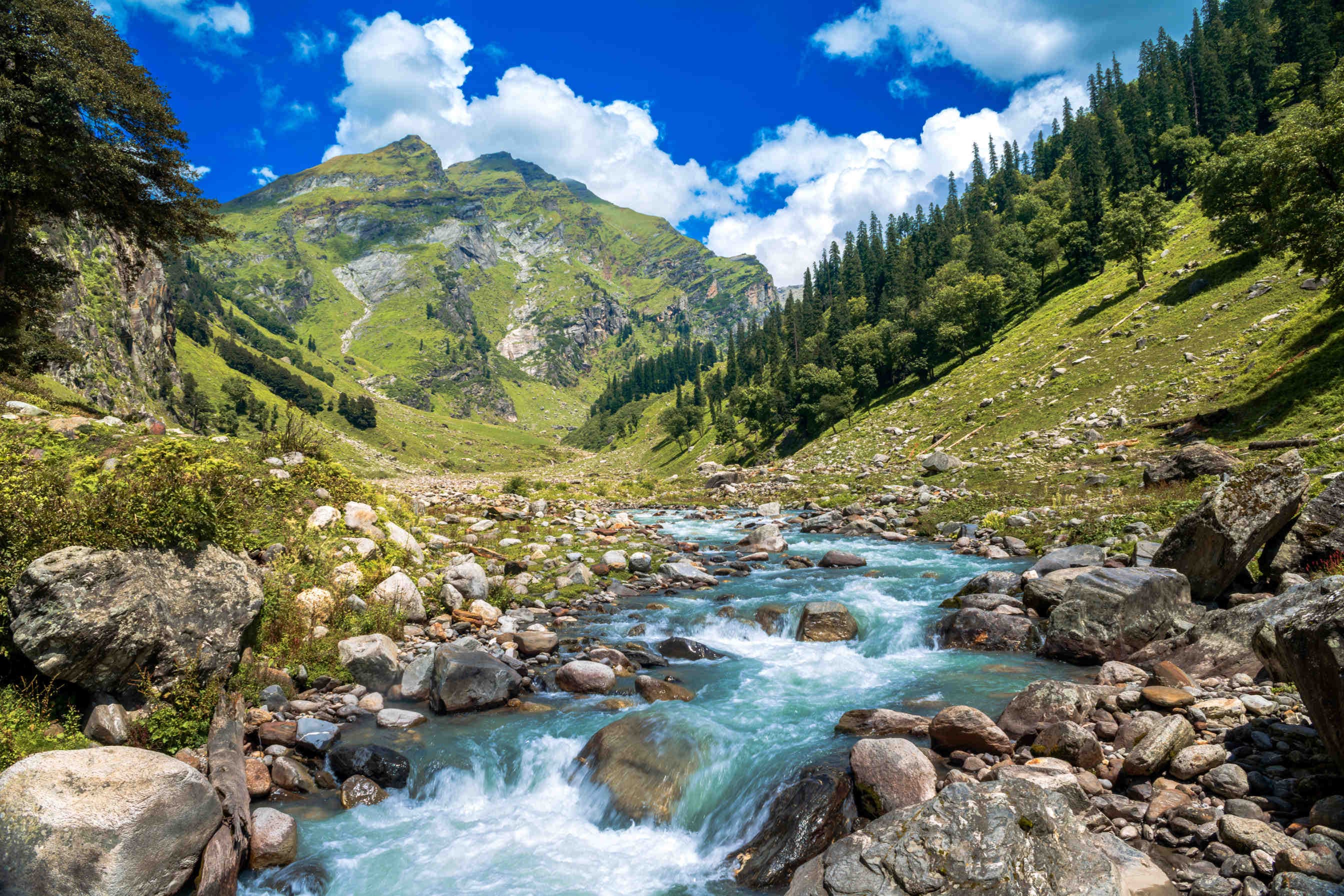 World Wildlife Day 2024: Giornata Mondiale della Natura