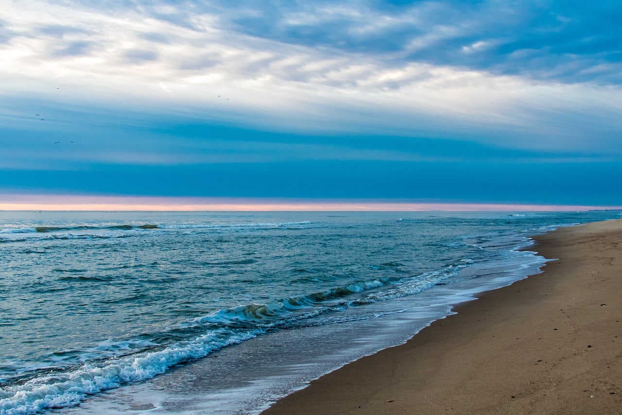 Le zone costiere: ecosistemi tanto belli quanto fragili