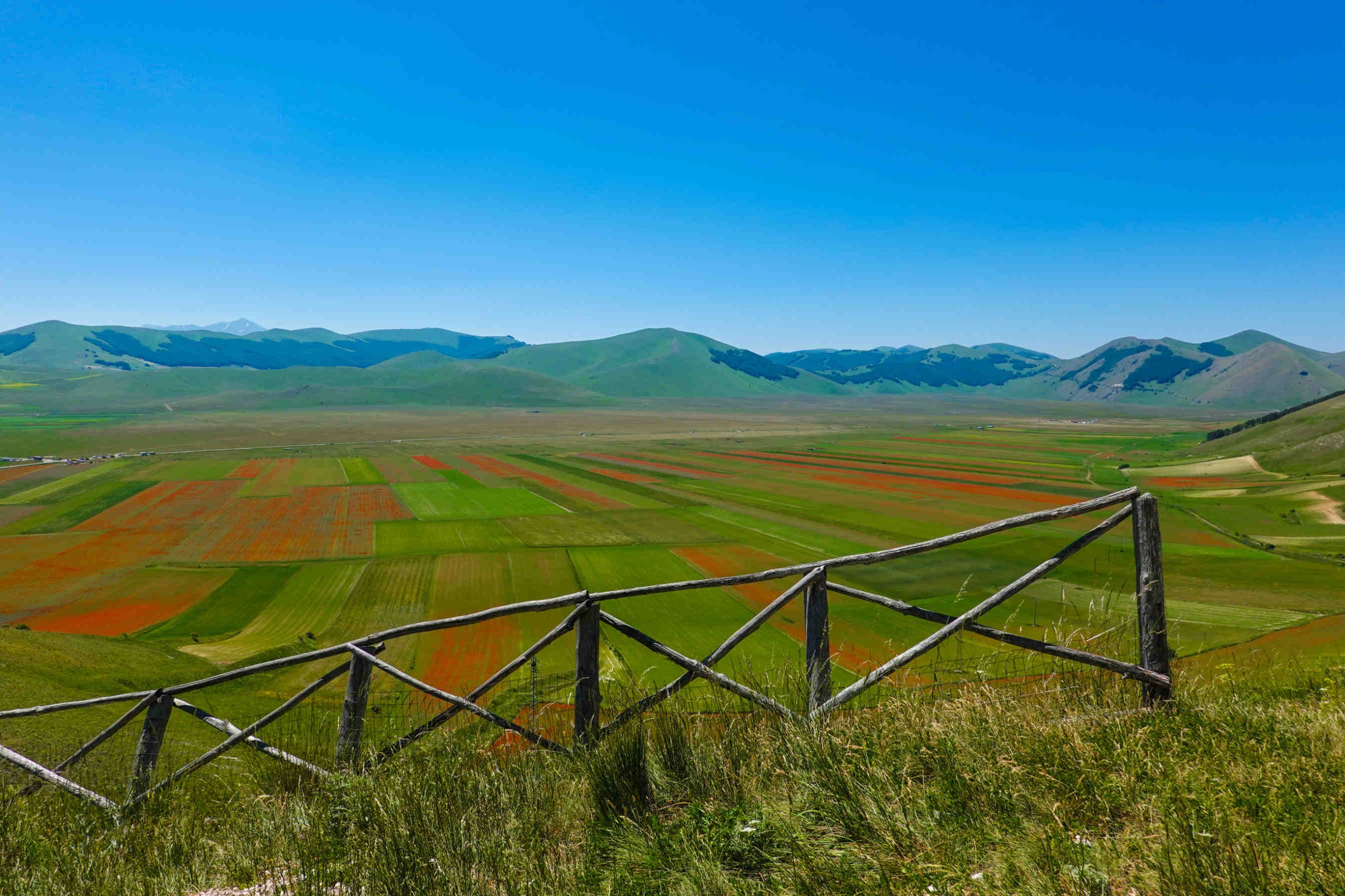 Fioritura Castelluccio di Norcia ambiente