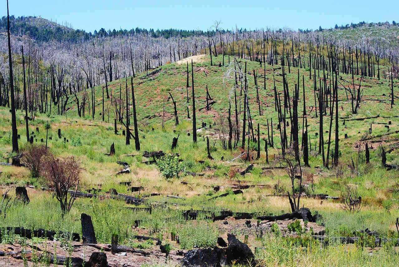 nuovi varchi aperti per gli incendi