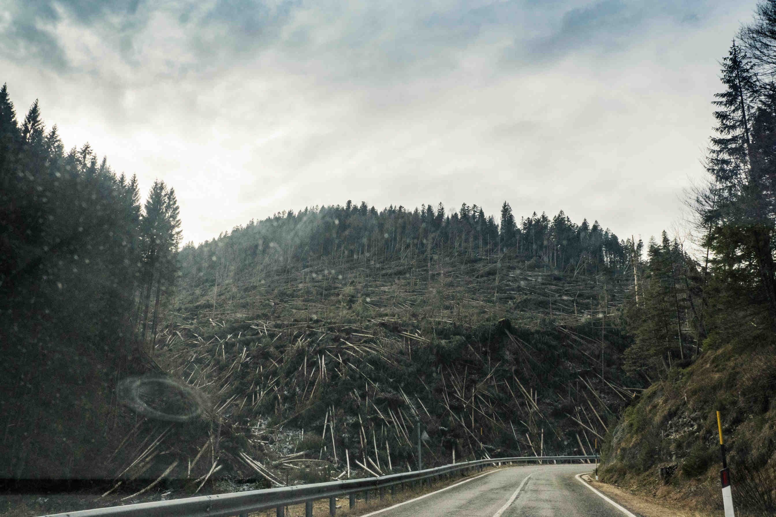 responsabilità umana cambiamento climatico