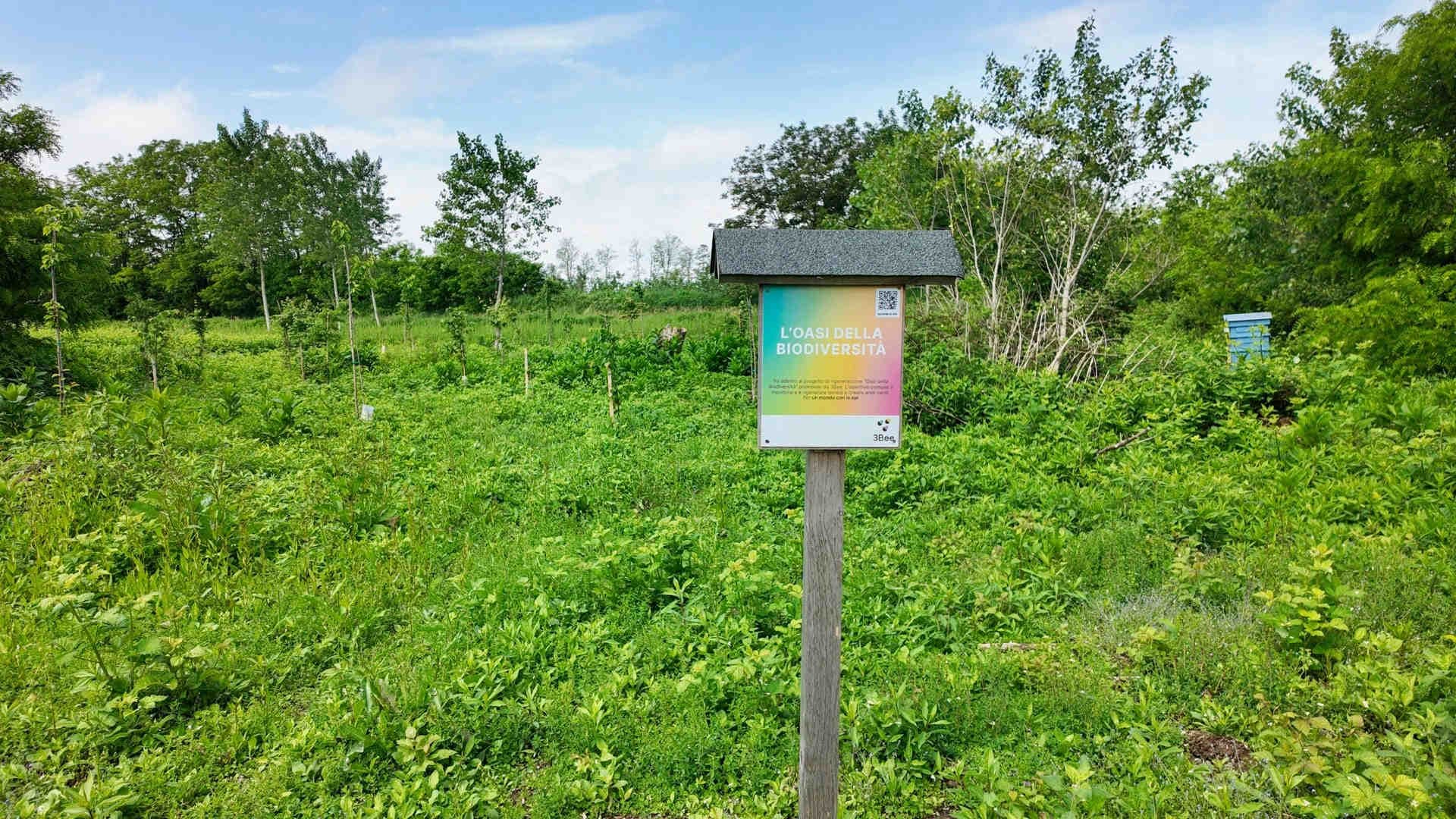 3bee-blog-100-oasi-1500-partner-la-rete-3bee-per-la-biodiversita