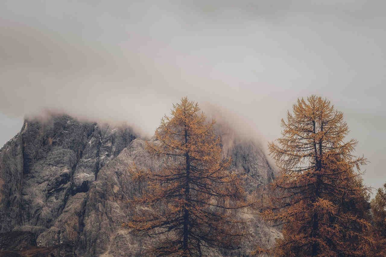 Climate Change: l’Italia al 43° posto