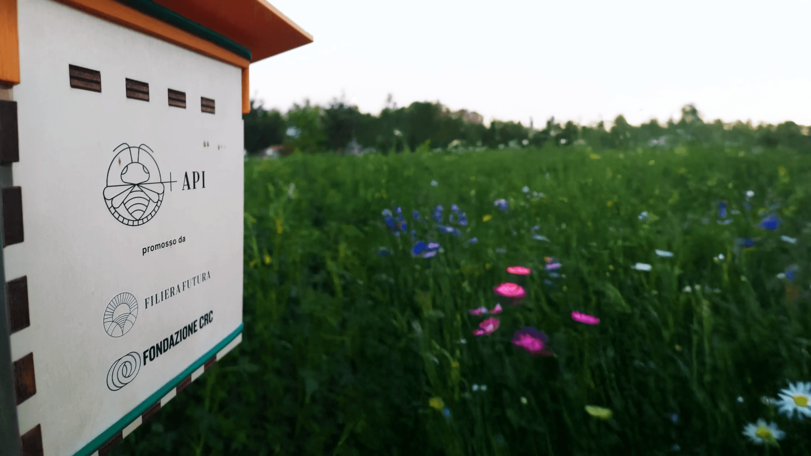 Filiera Futura: il progetto per la biodiversità