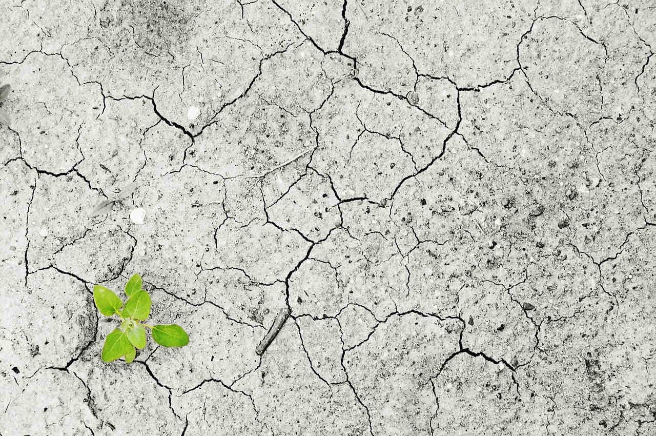 Che cos’è il cambiamento climatico?