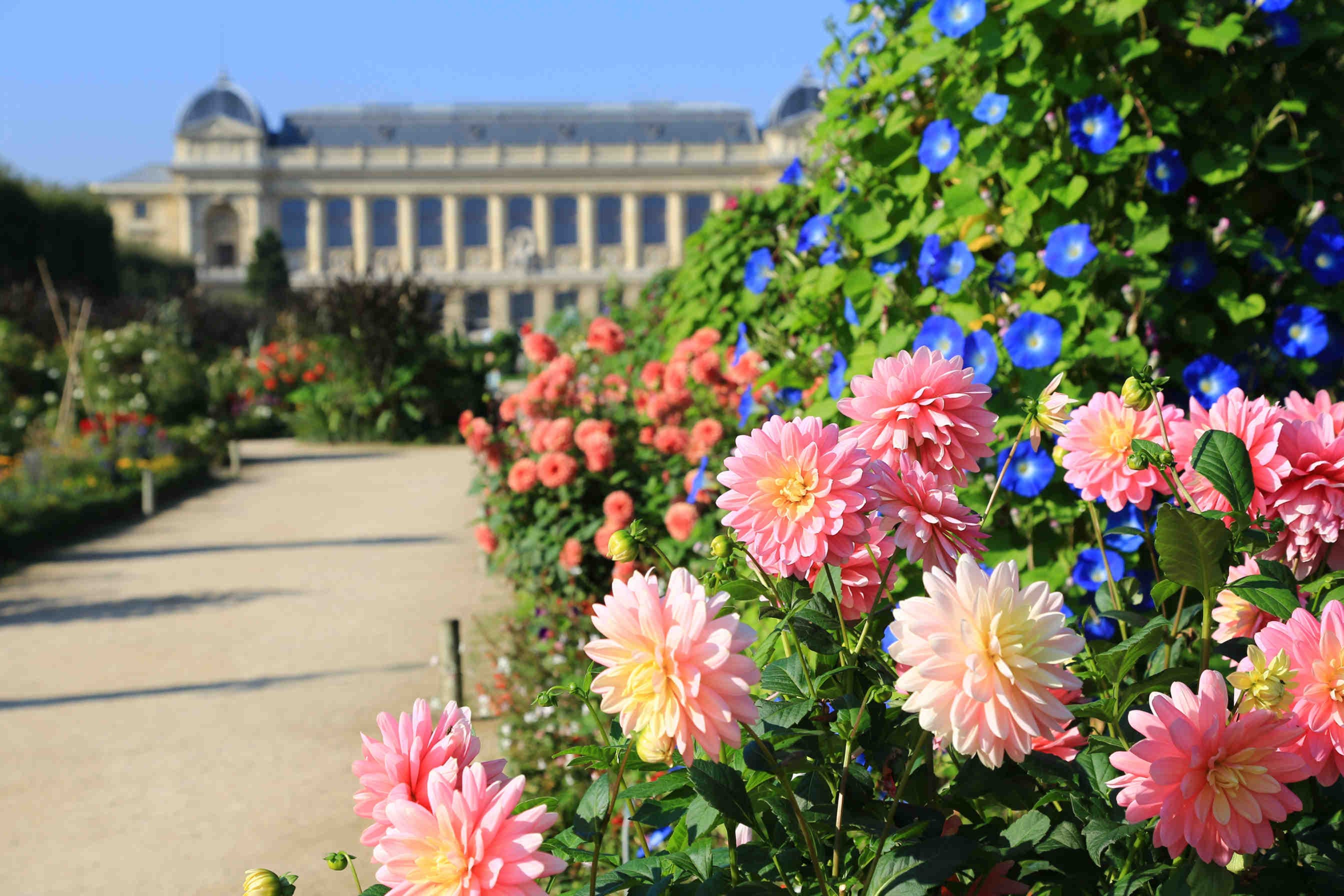 La biodiversité dans une ville engagée