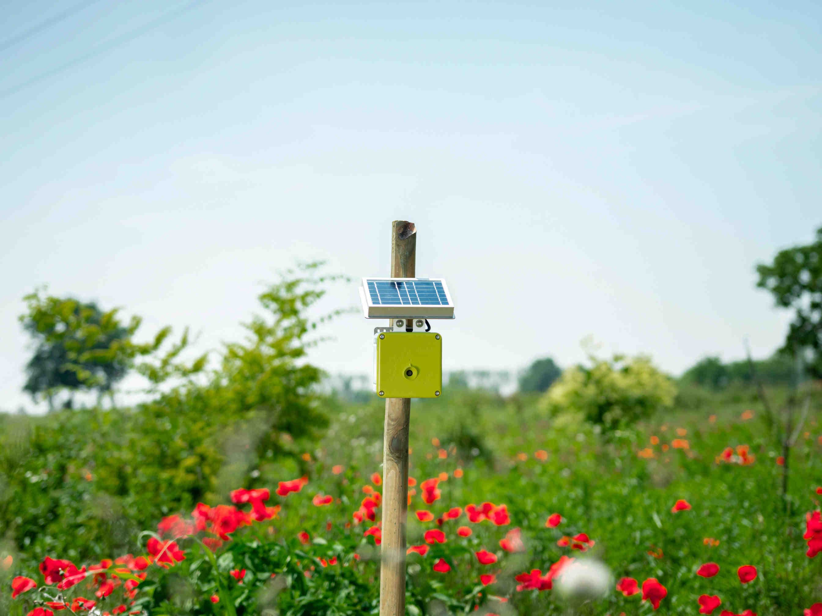3bee-blog-come-funziona-il-monitoraggio-scientifico-delle-oasi-3bee