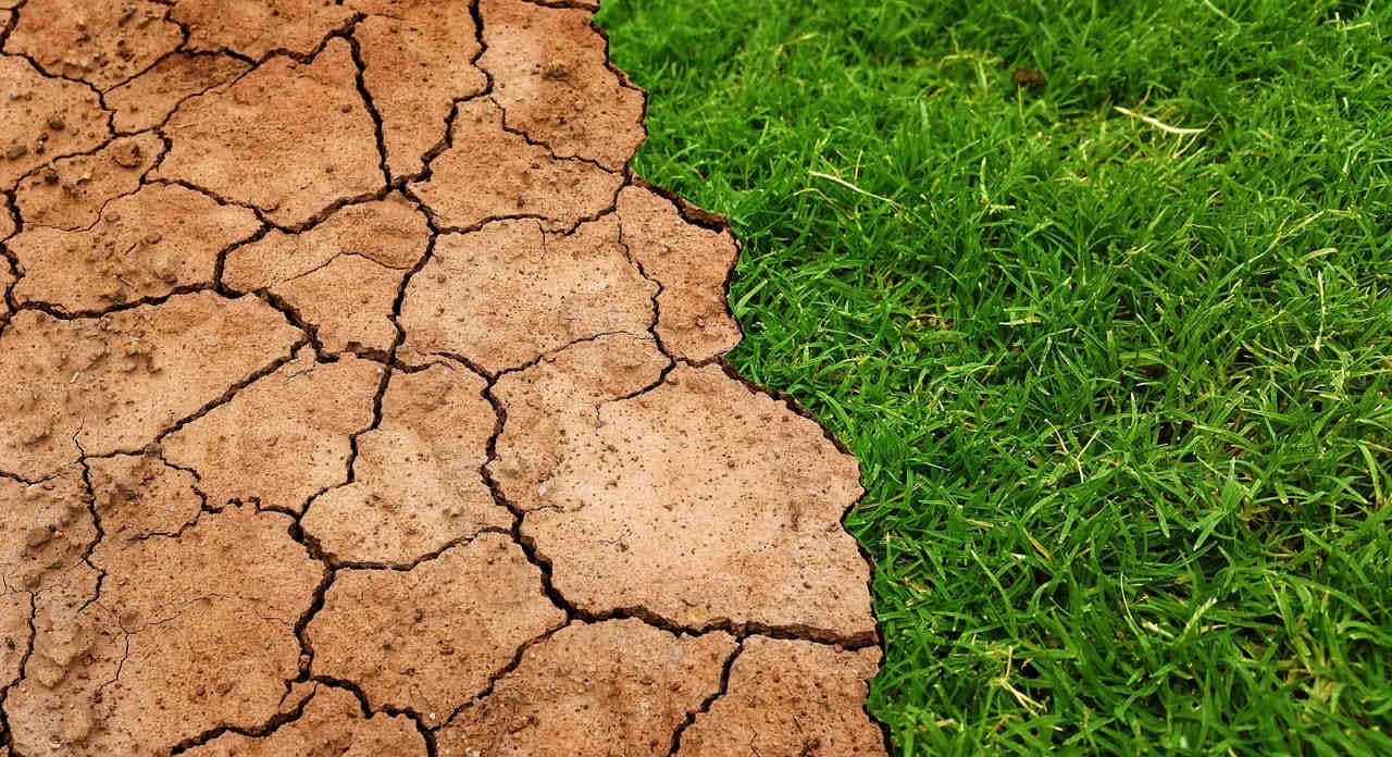 siccità desertificazione sfide 3Bee