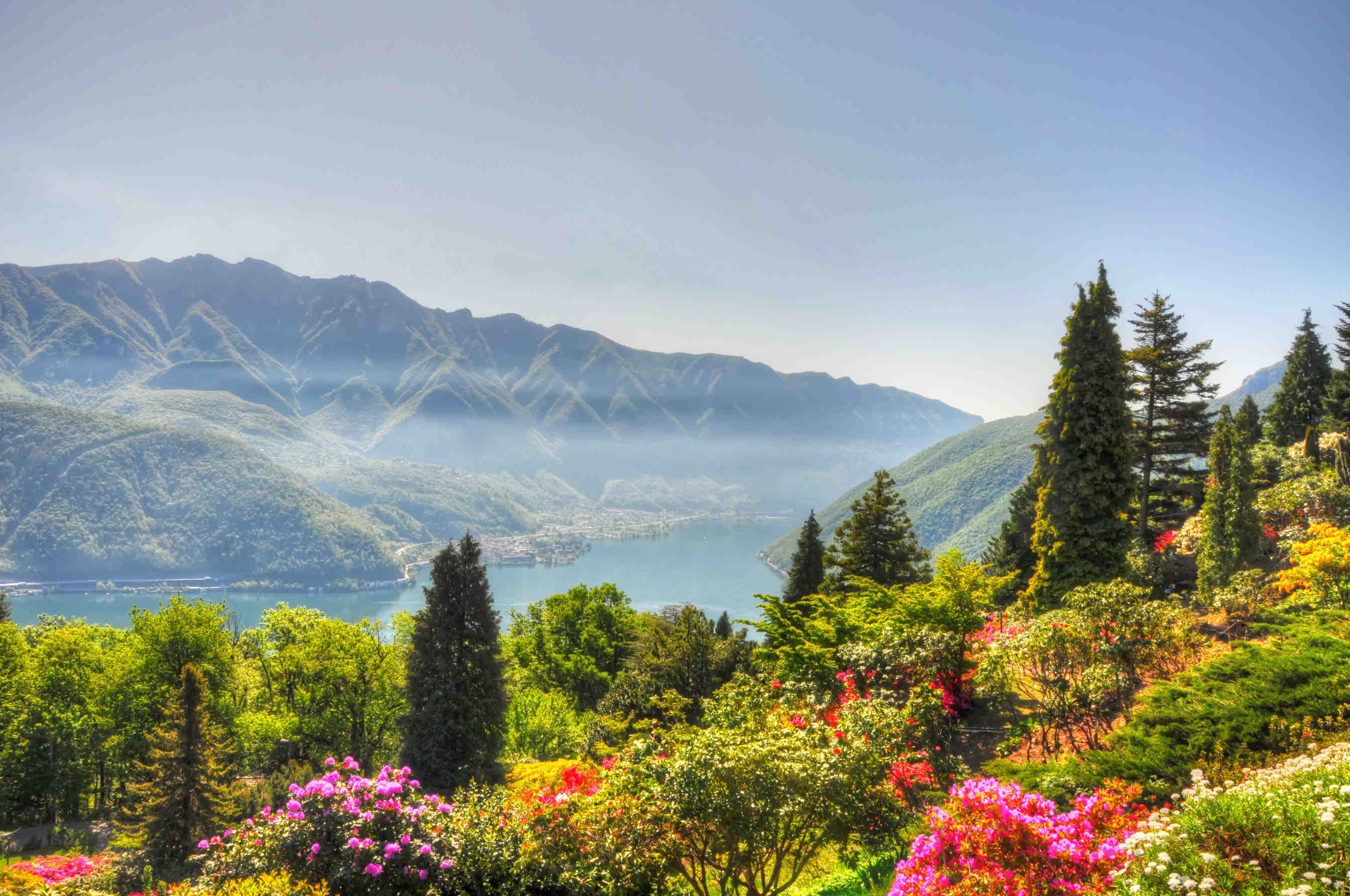 UE: approvata la legge sul ripristino della natura