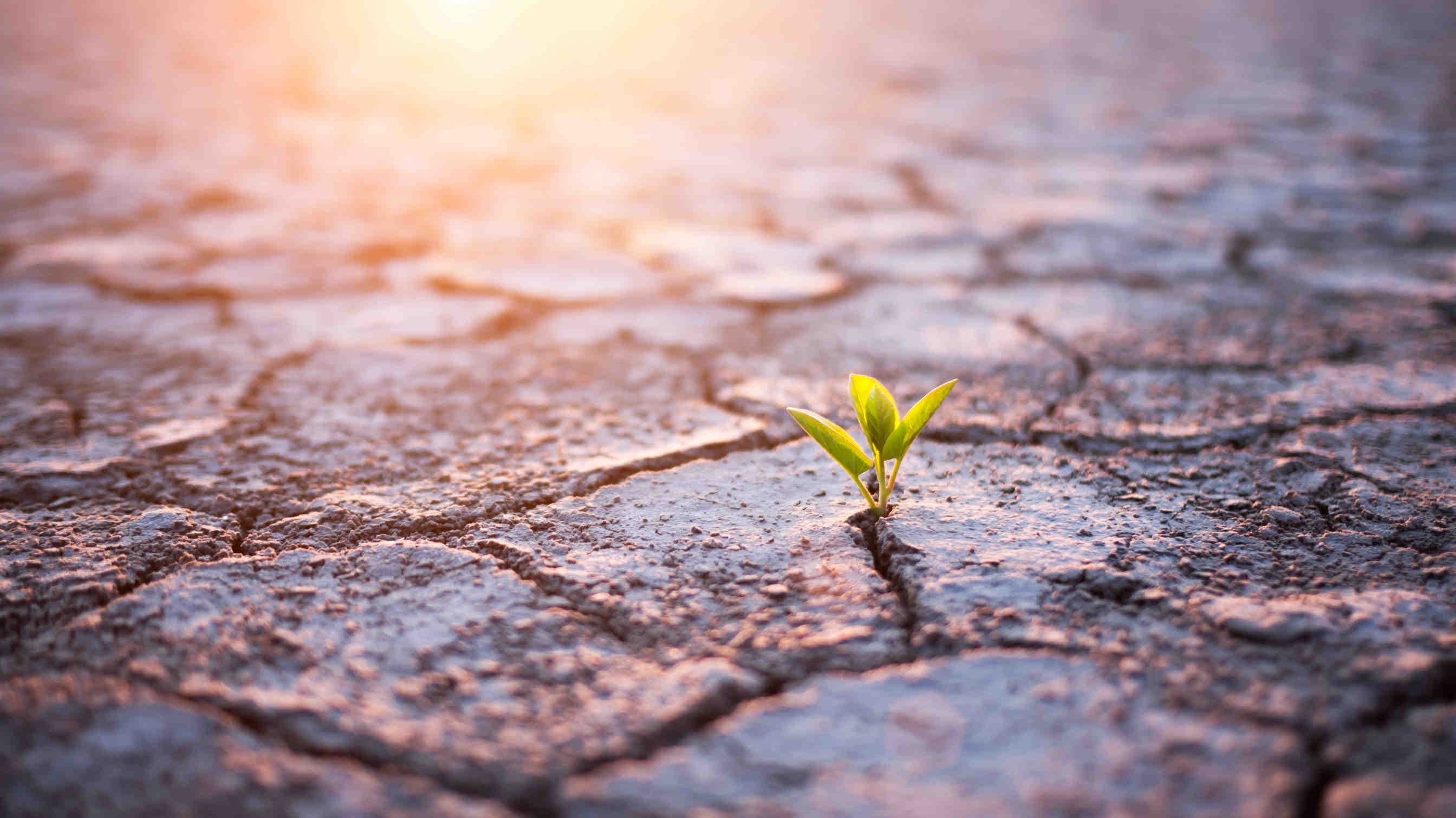 Che cos’è l’Accordo sul clima di Parigi?