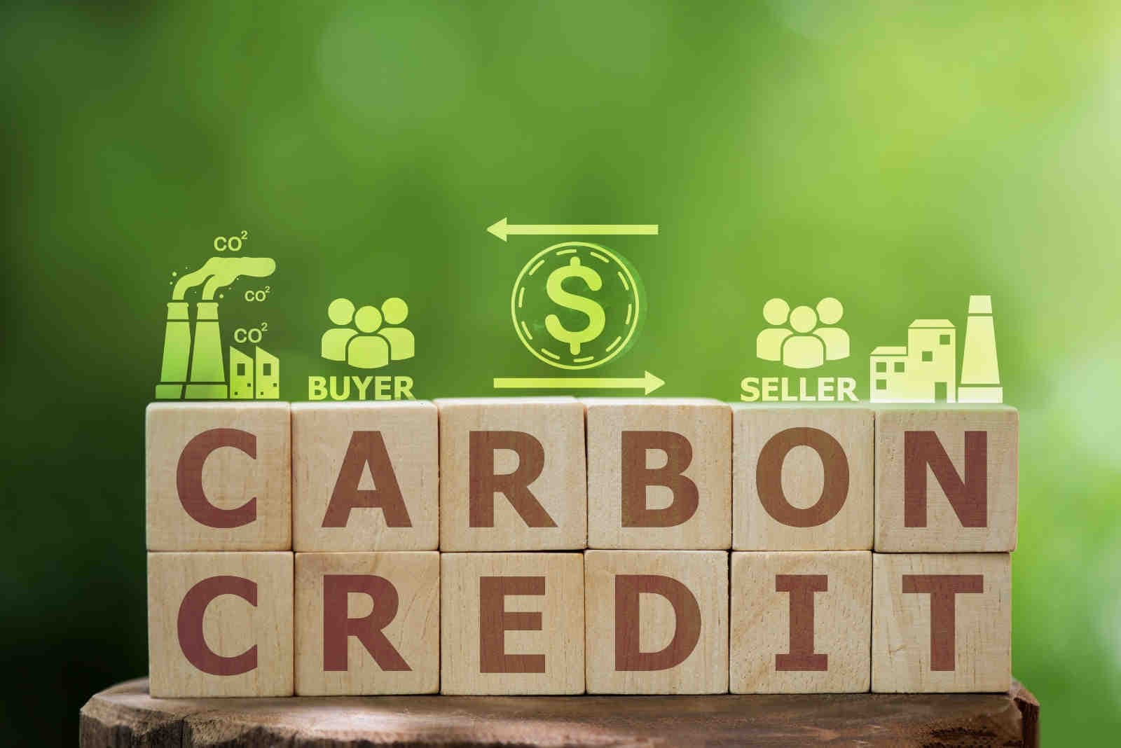 Crediti di carbonio: cosa sono e come funzionano