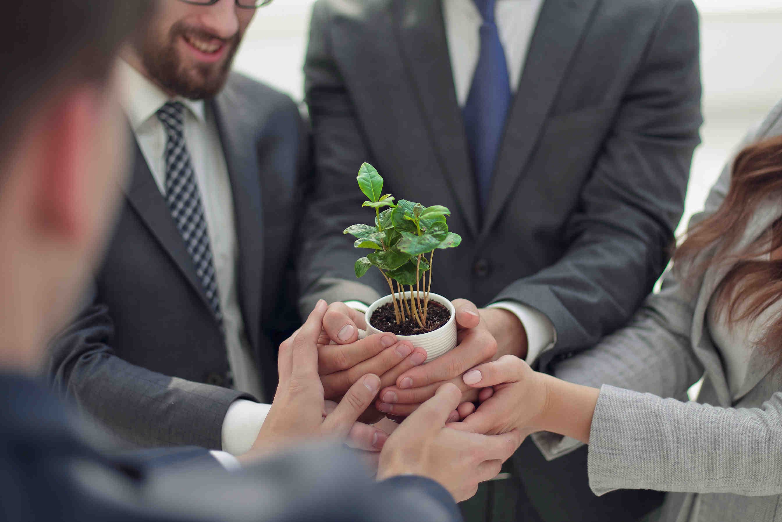 certificazione B Corp