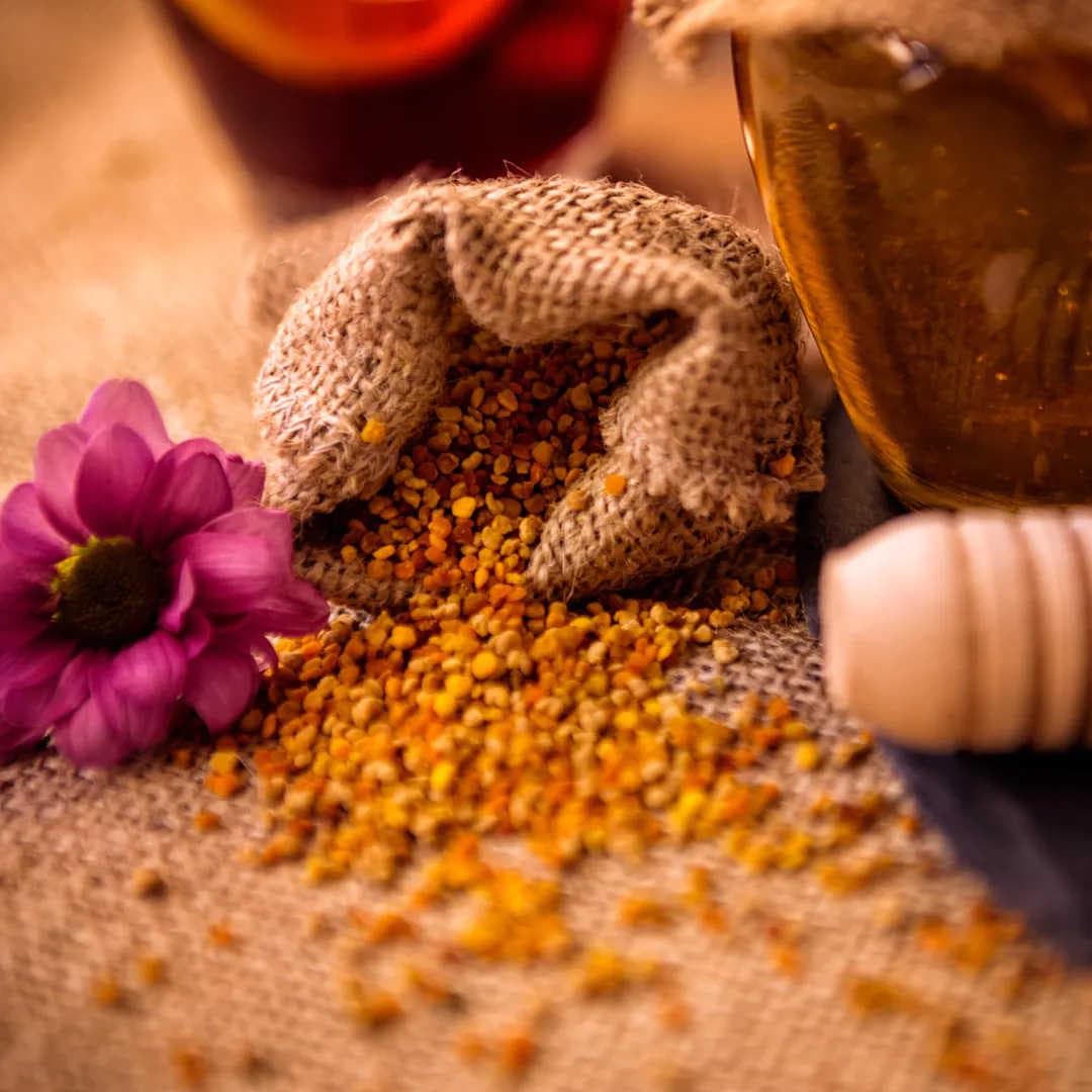Comment la propolis est-elle récoltée ?