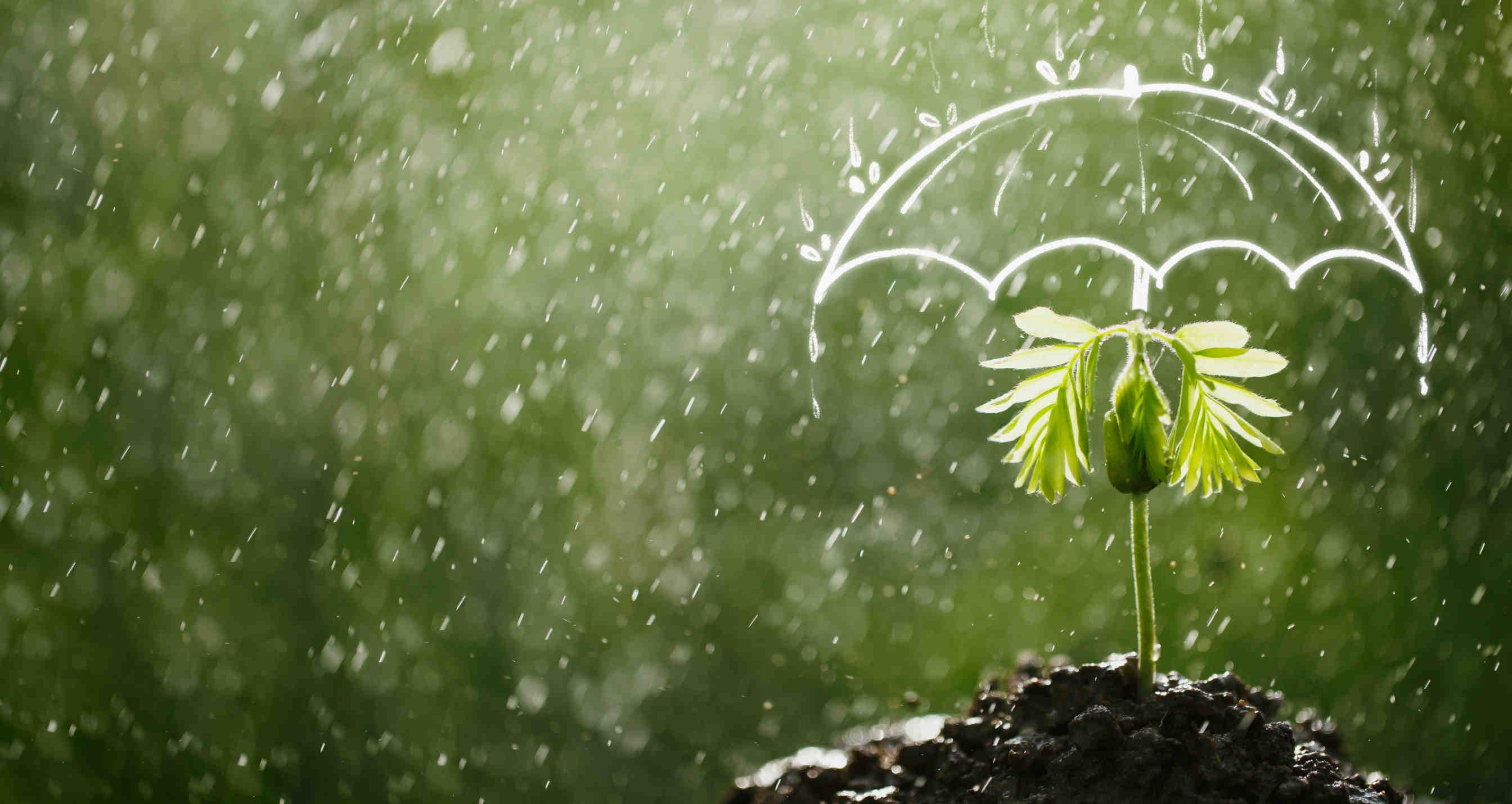 adattamento al cambiamento climatico