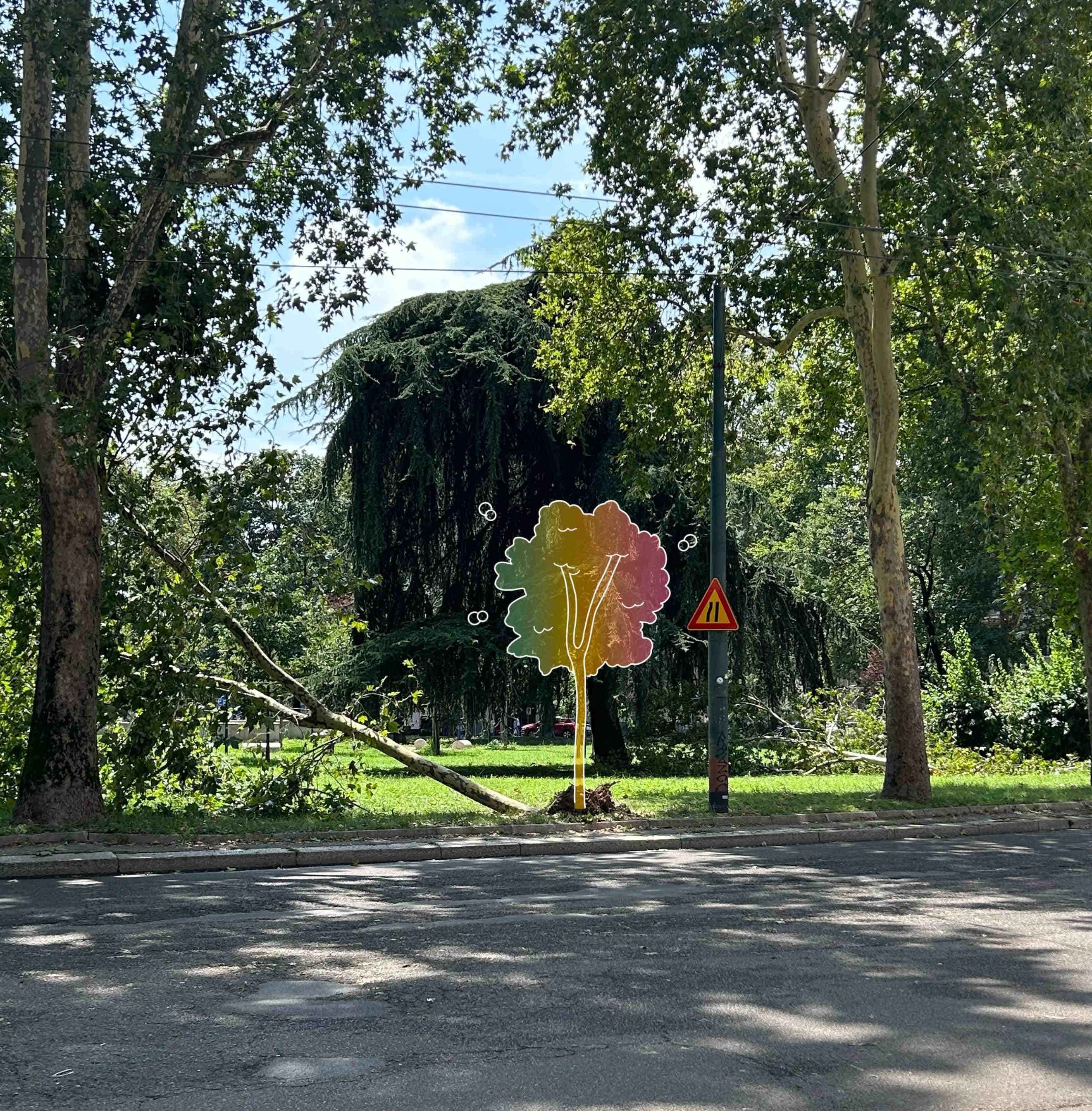 Oasi 3Bee Milano