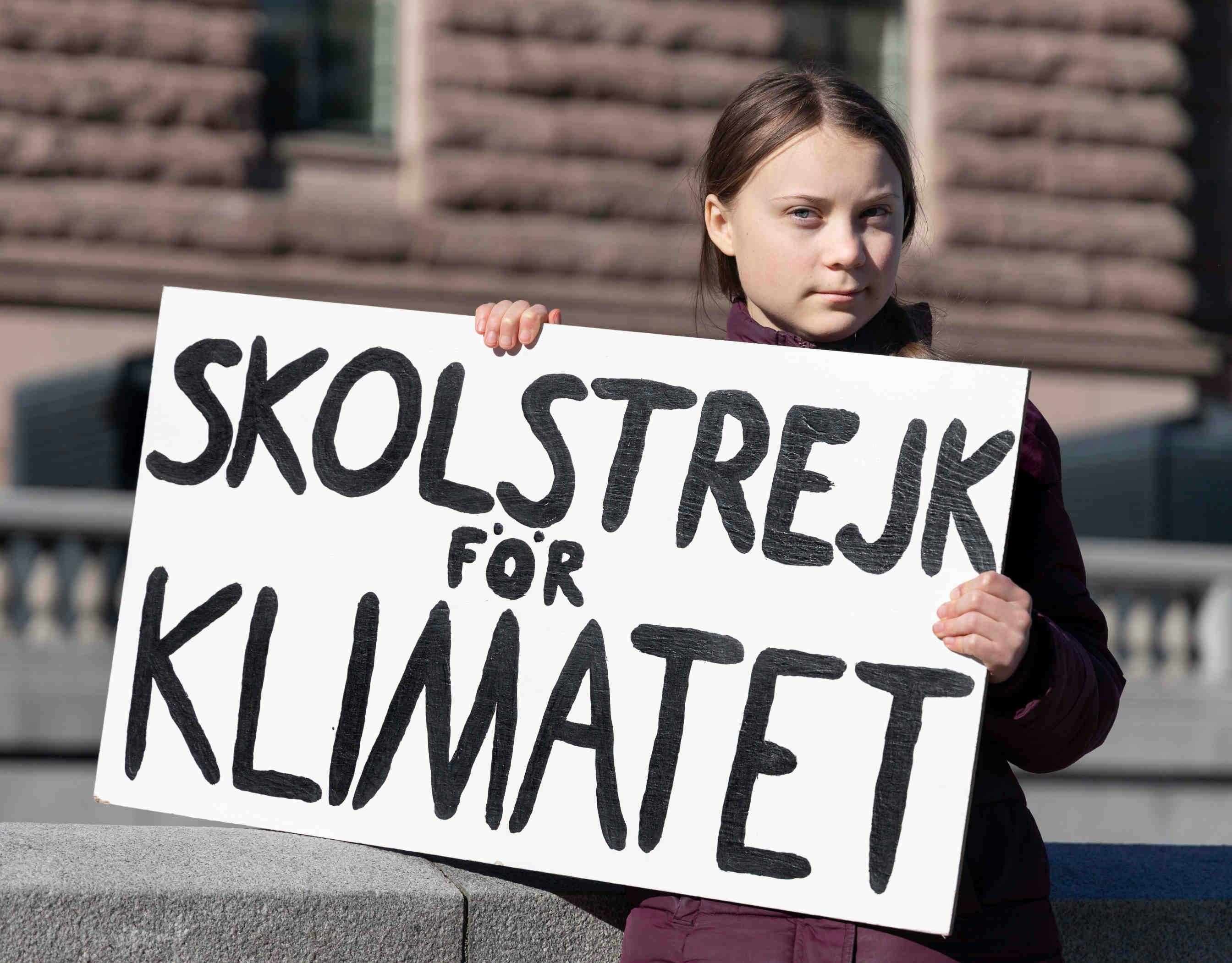 Arresto di Greta Thunberg: carbone e impollinatori