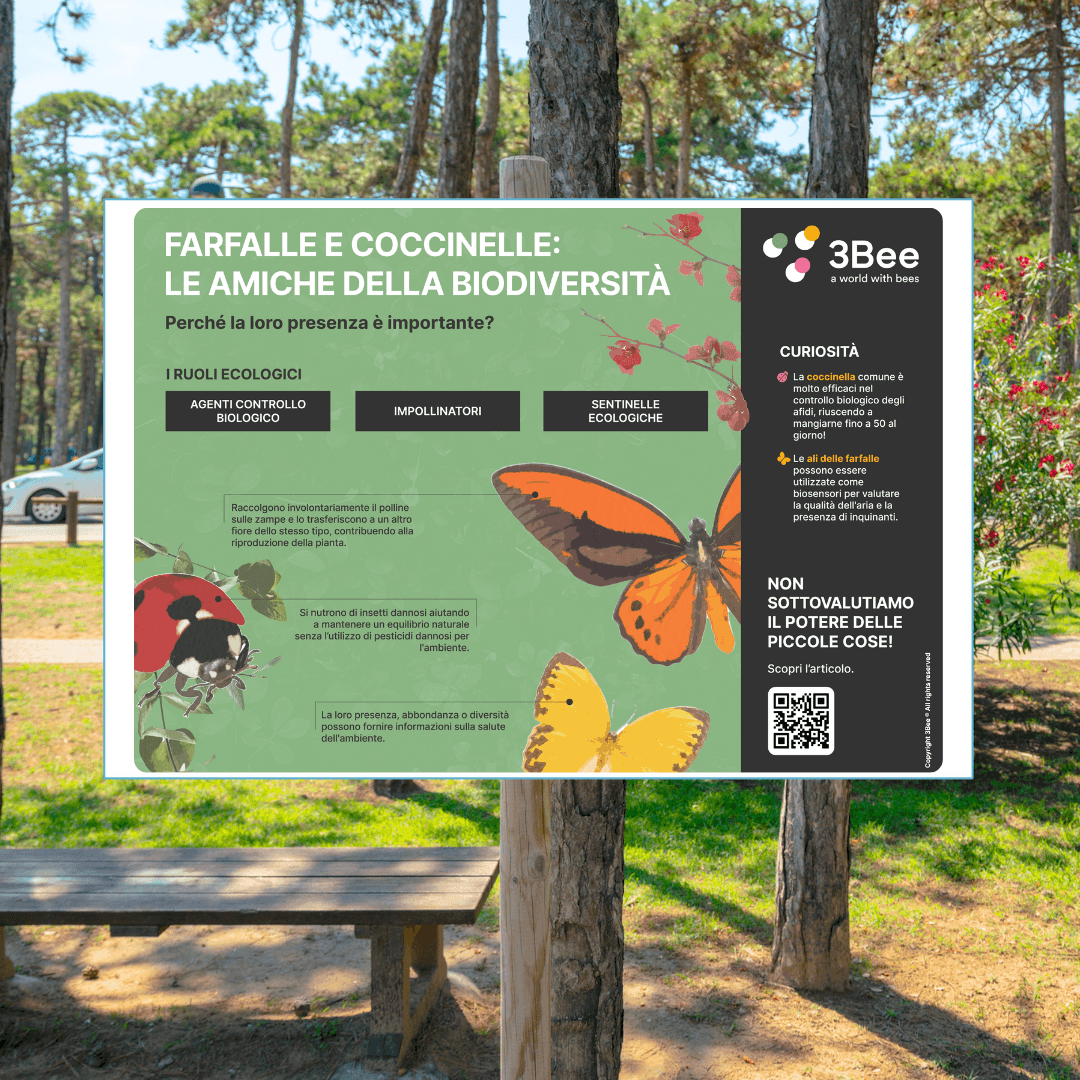 Componentes clave de la Aventura de la Biodiversidad