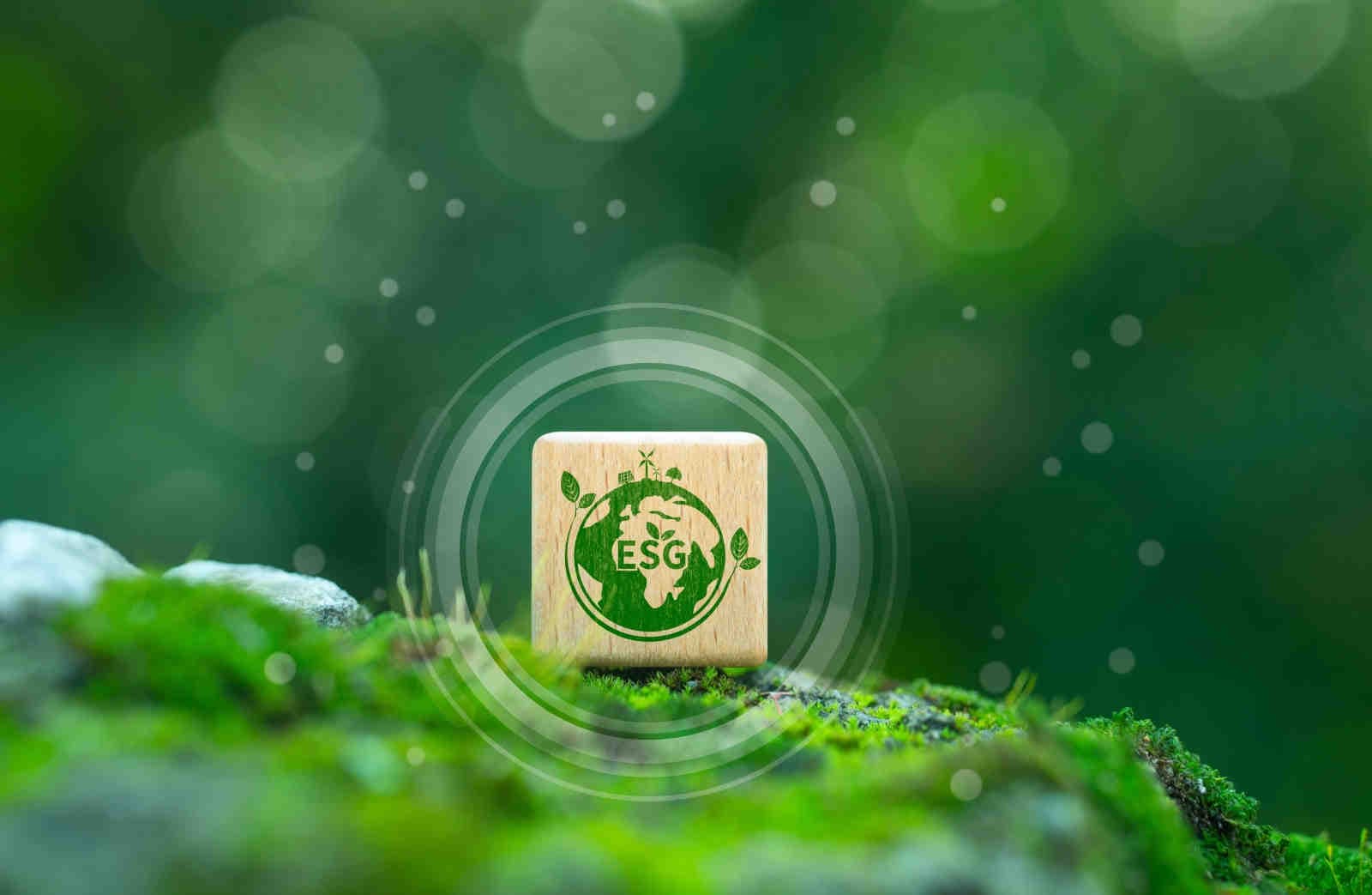 Standard di riferimento: ESRS, GRI e framework integrati