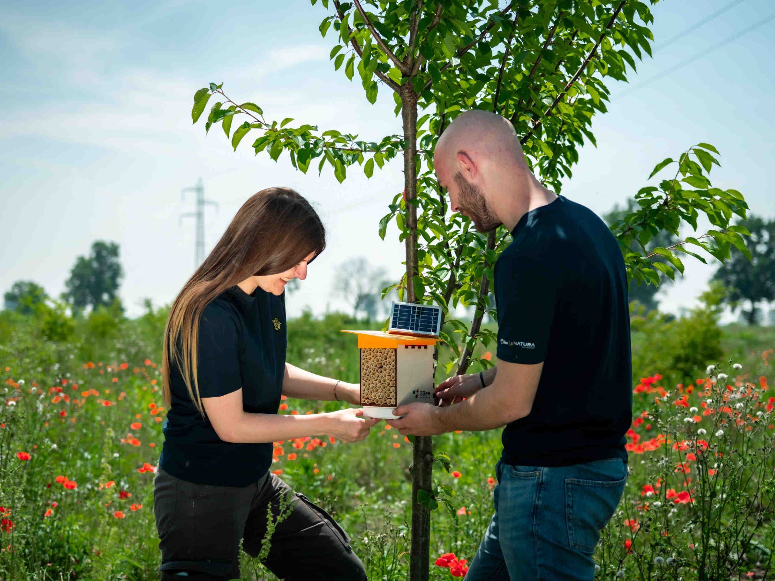 3bee-blog-le-oasi-della-biodiversità-e-la-scelta-delle-piante