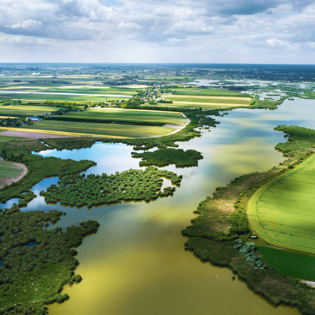 Perché la biodiversità è fondamentale per il nostro pianeta