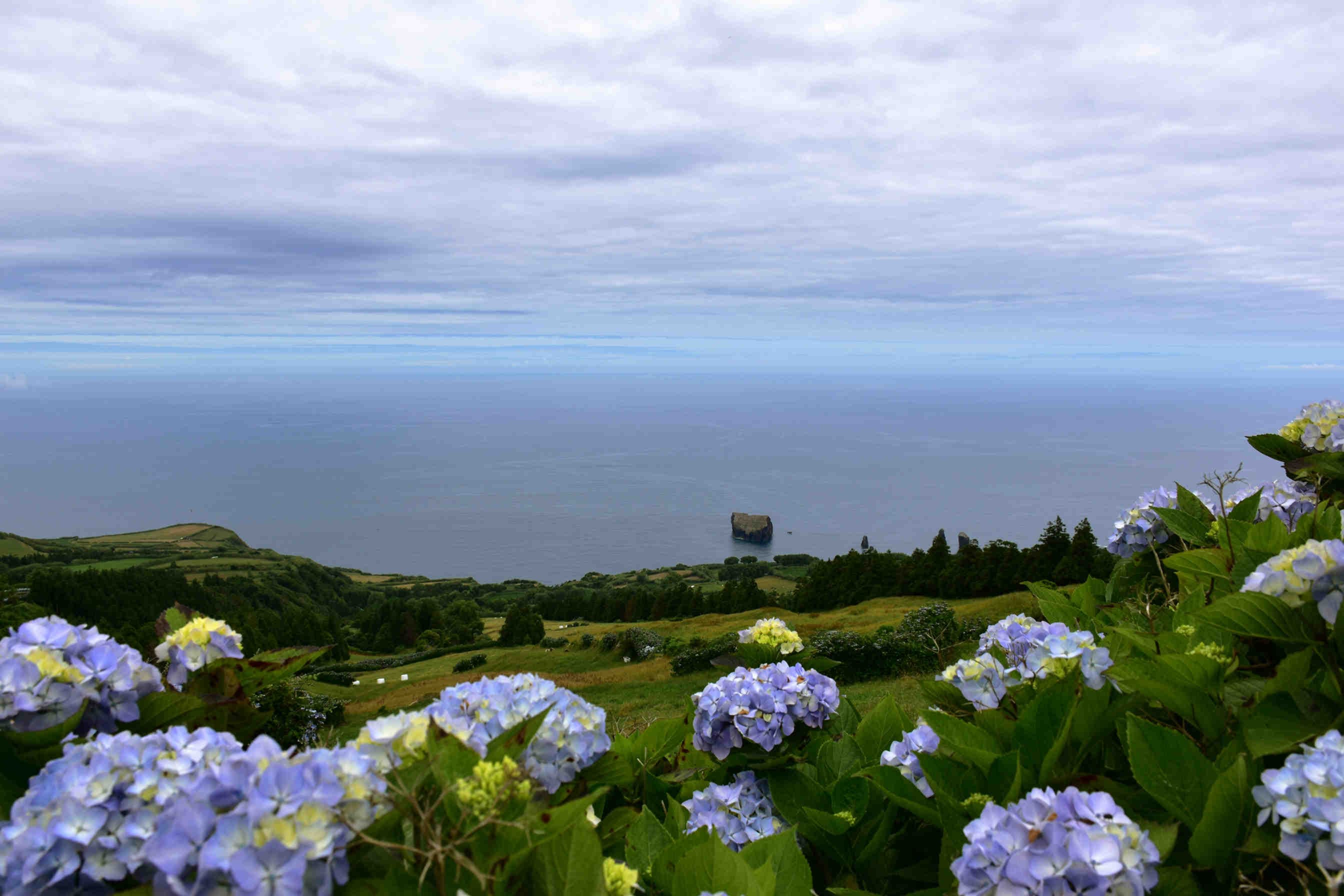 biodiversità