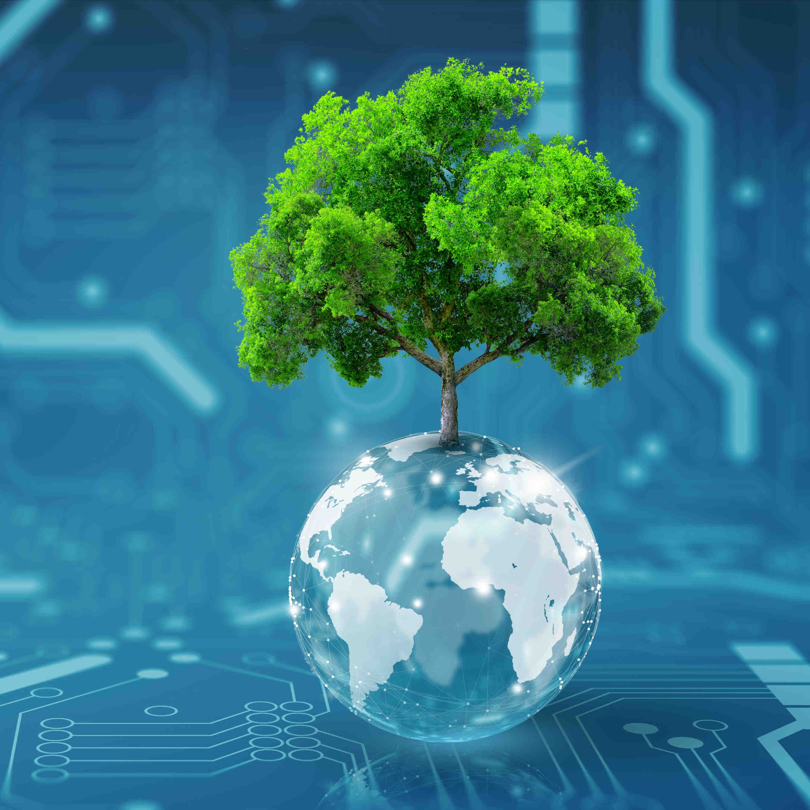 Obiettivi ESG e opportunità per le PMI