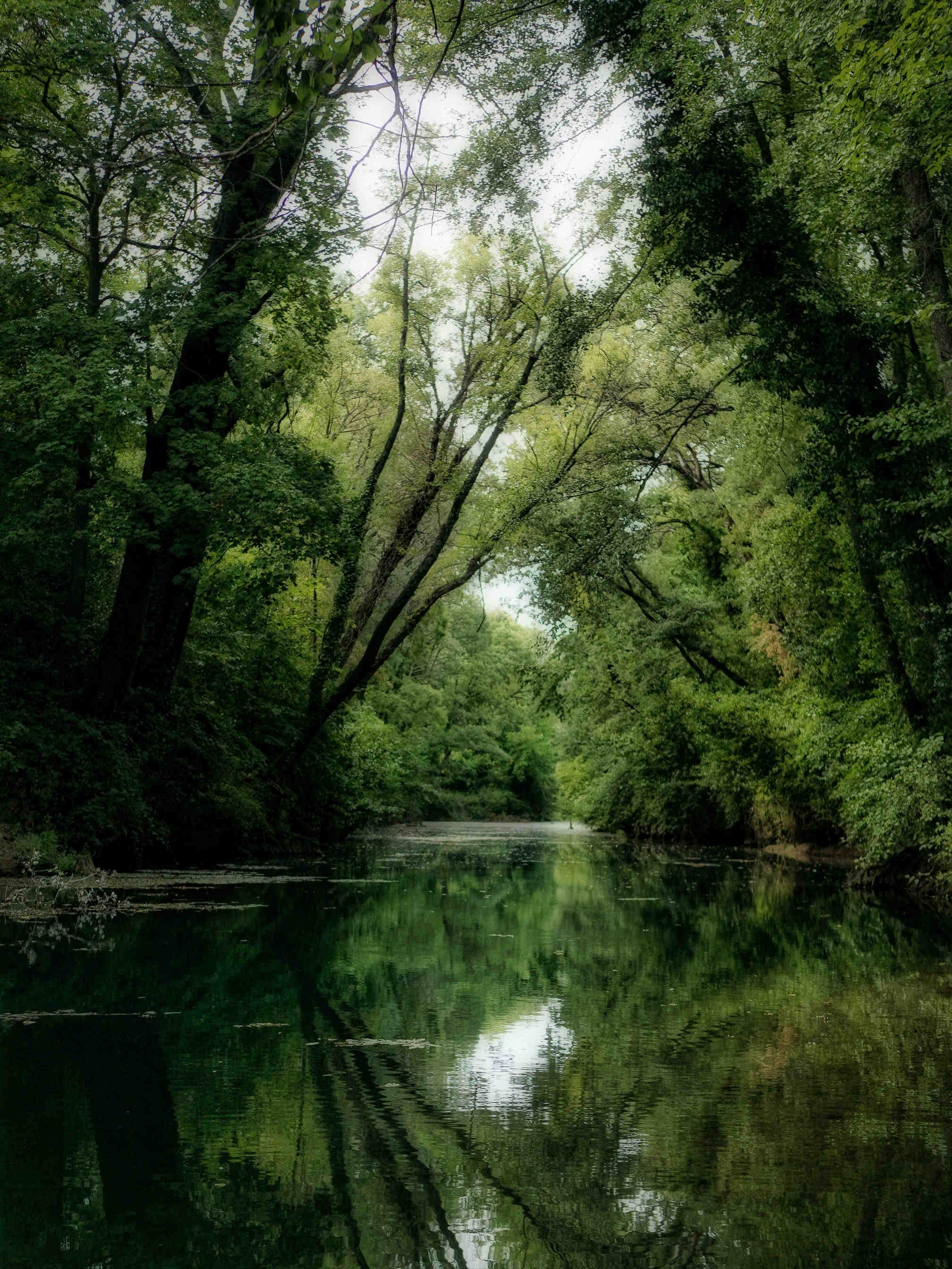 Les services écosystémiques fournis par la biodiversité