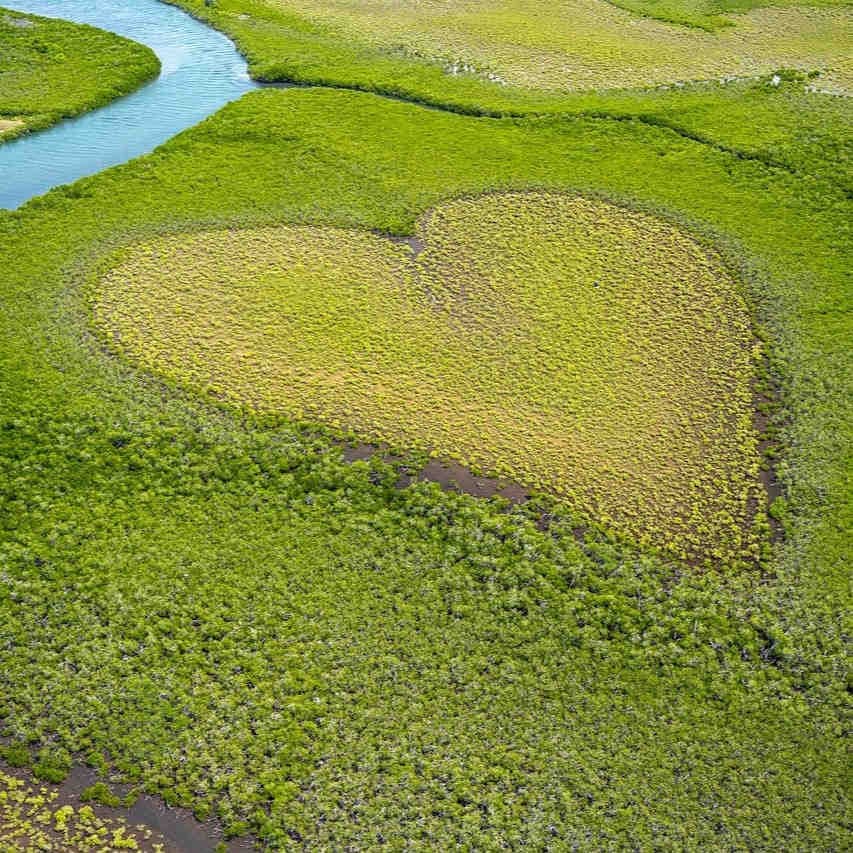 cuore