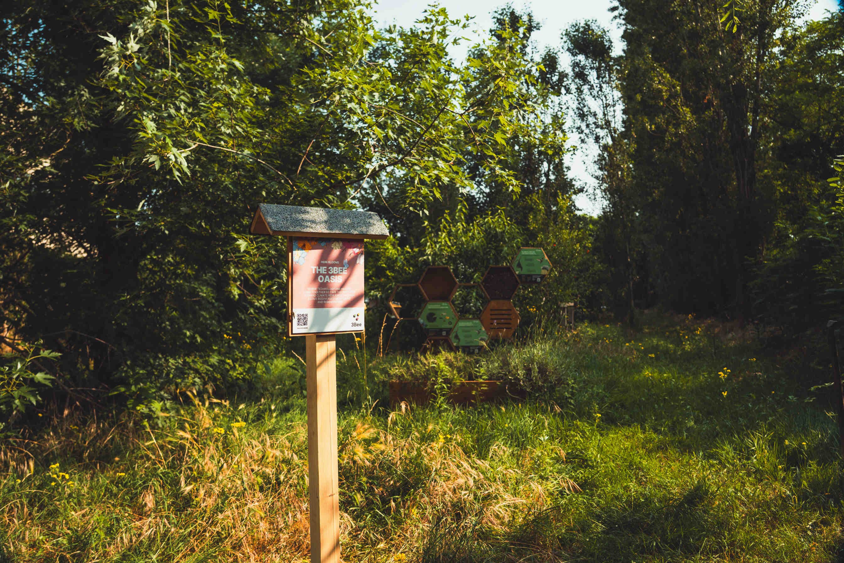 Oasi della Biodiversità 3Bee: come trasformare spazi in ecosistemi vivi