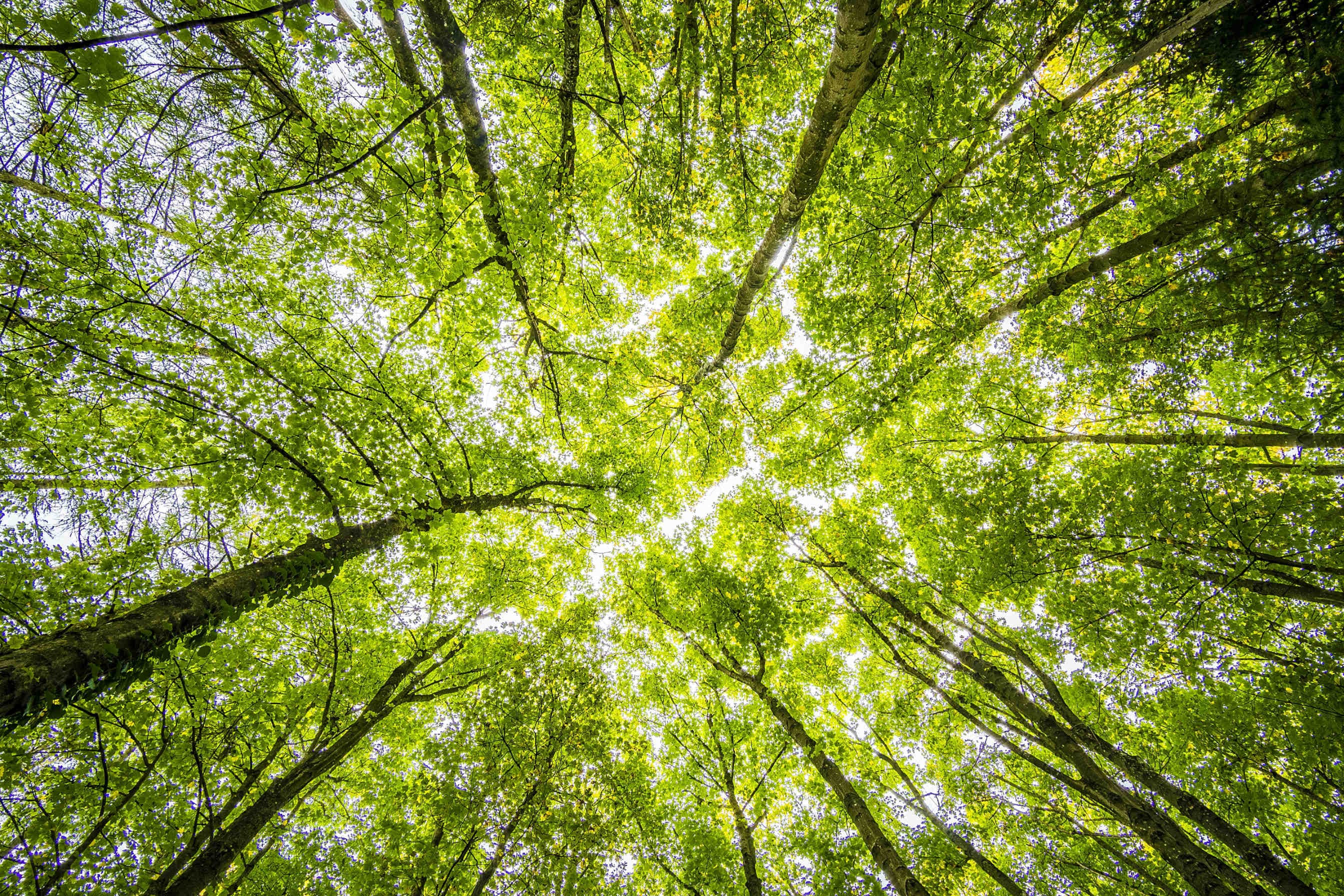 natura e ambiente