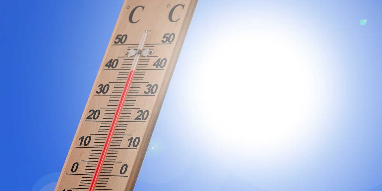 temperature elevate mar adriatico