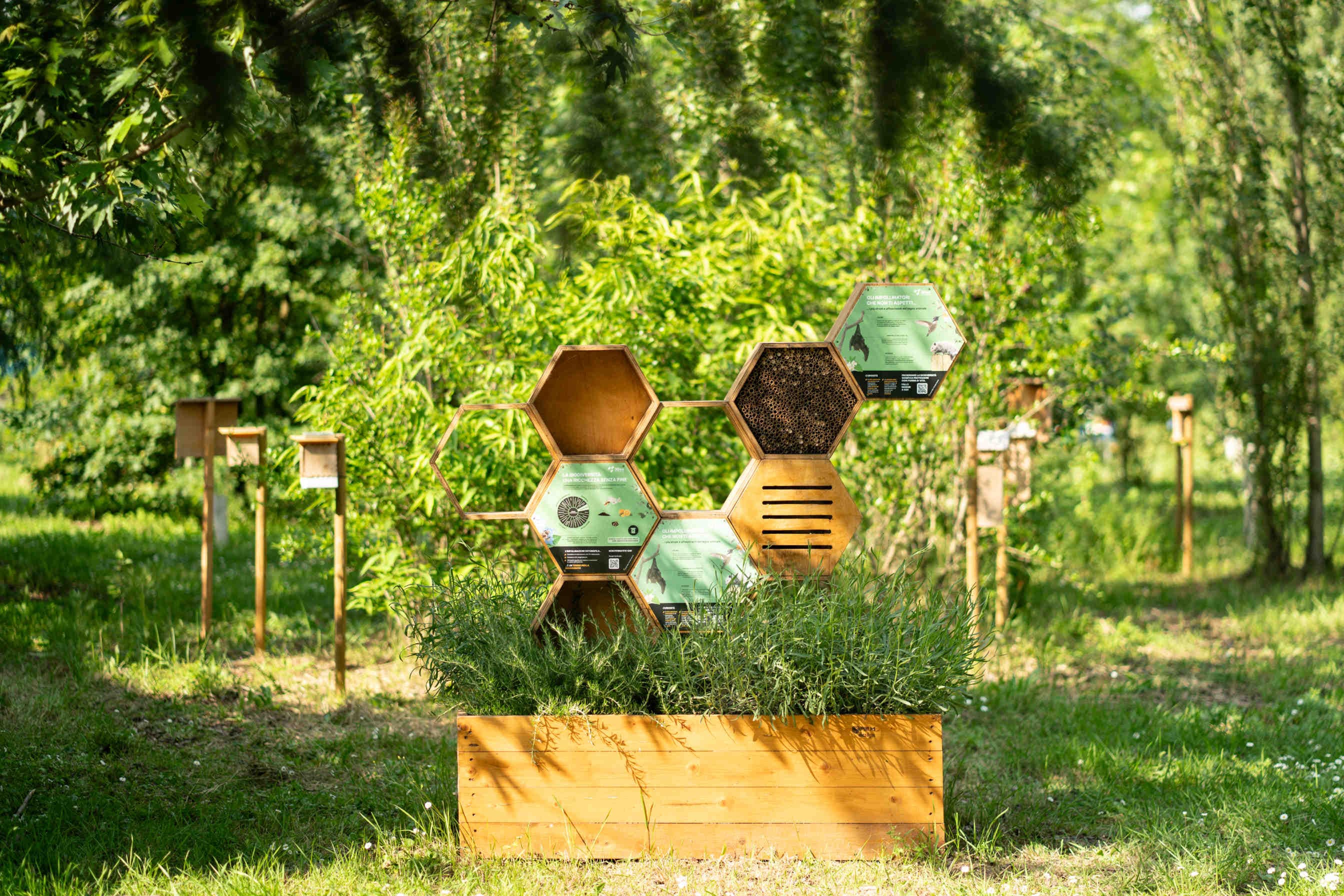 3Bee e Edison Next per la rigenerazione della biodiversità