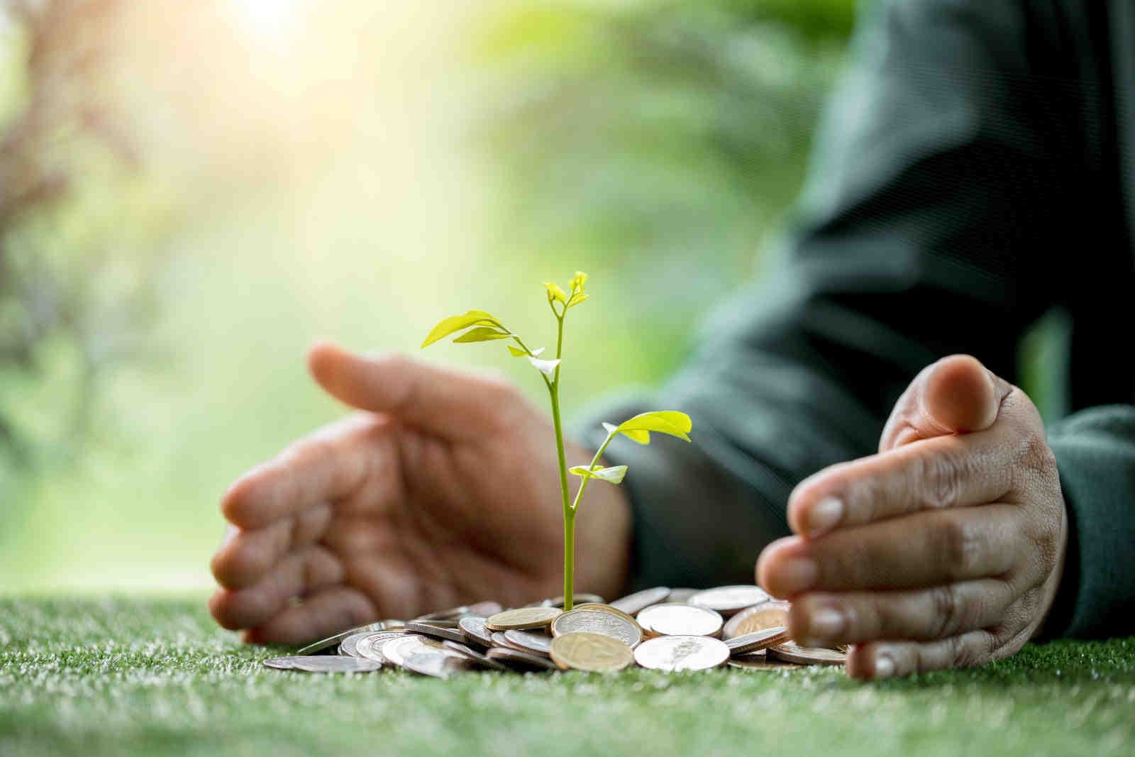 Finanza sostenibile europea: cosa ci aspetta nel 2025