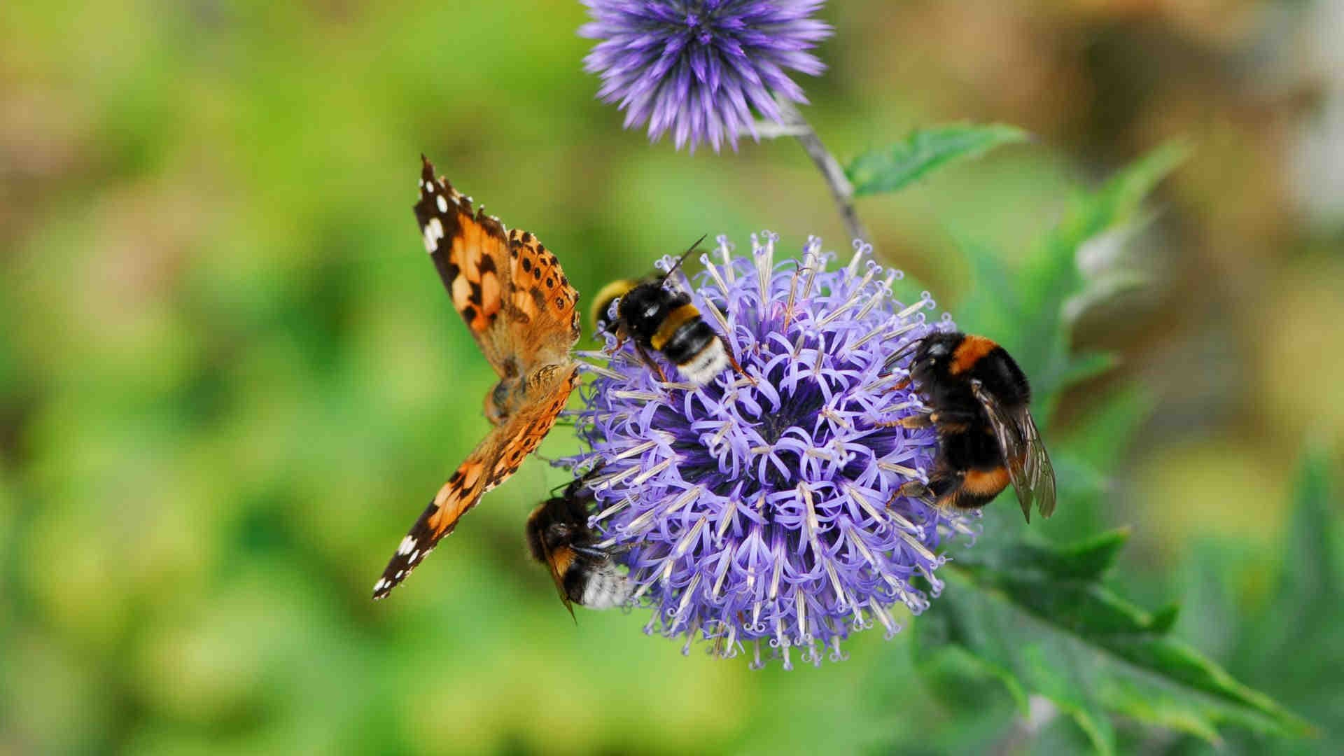 Pourquoi choisir XNatura Score de 3Bee ?