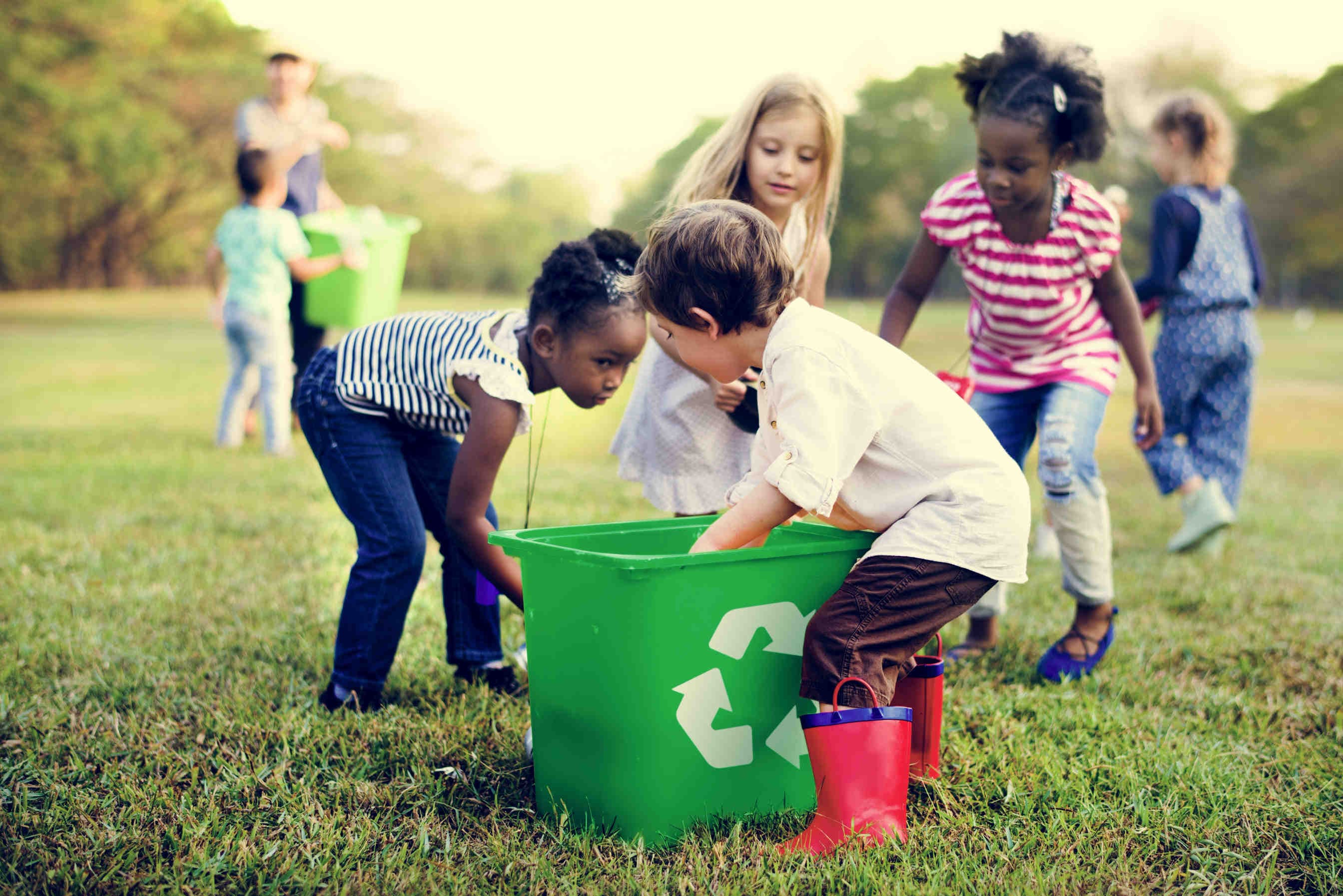 Éducation et éducation au développement durable