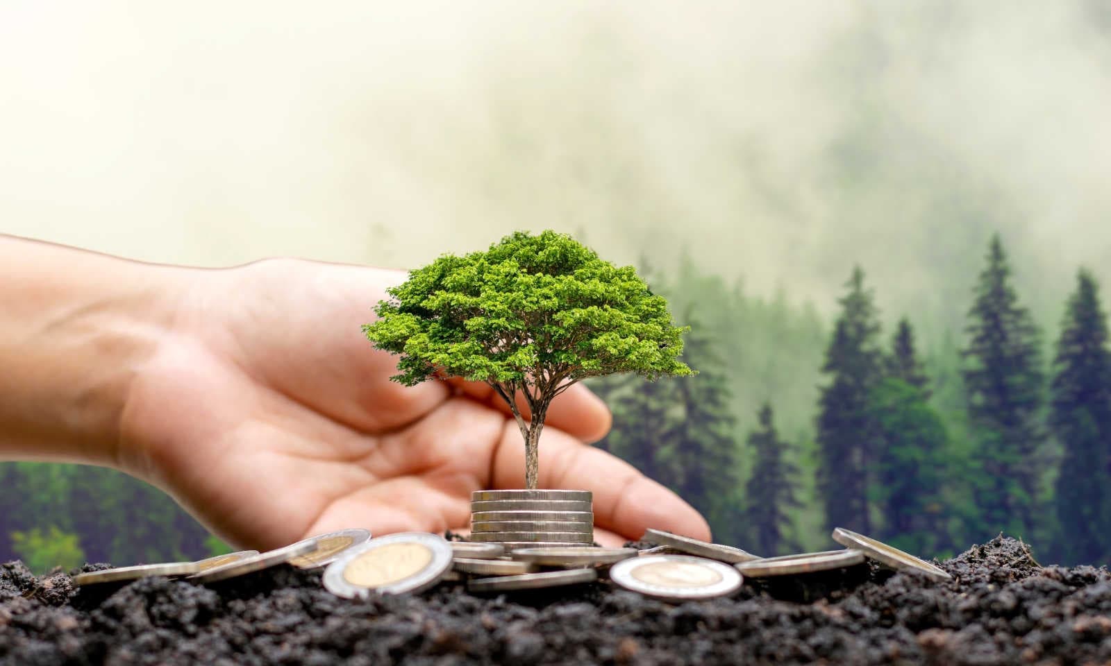 Implicazioni economiche e sociali