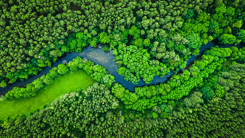 Il calendario delle Giornate Mondiali per l’Ambiente