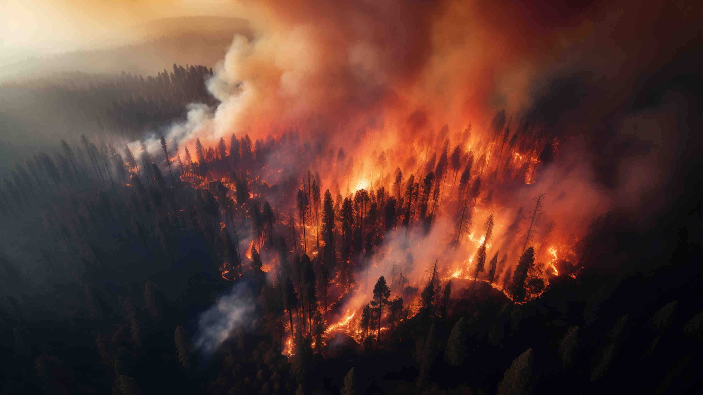 Incendio Pantanal