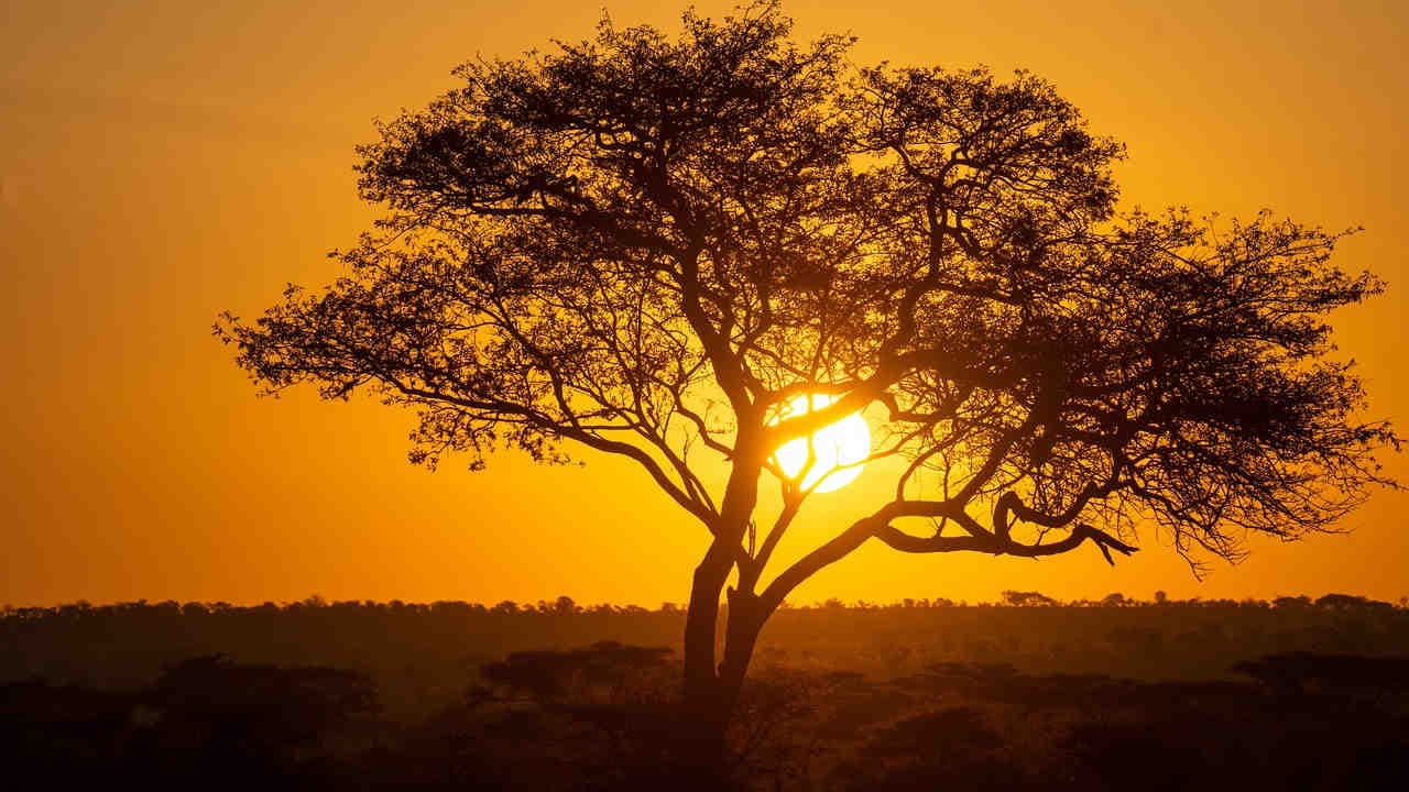 Tanzania al tramonto