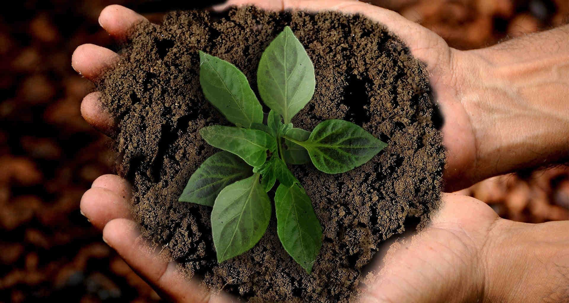 DNF: trasparenza e sostenibilità per una reputazione solida