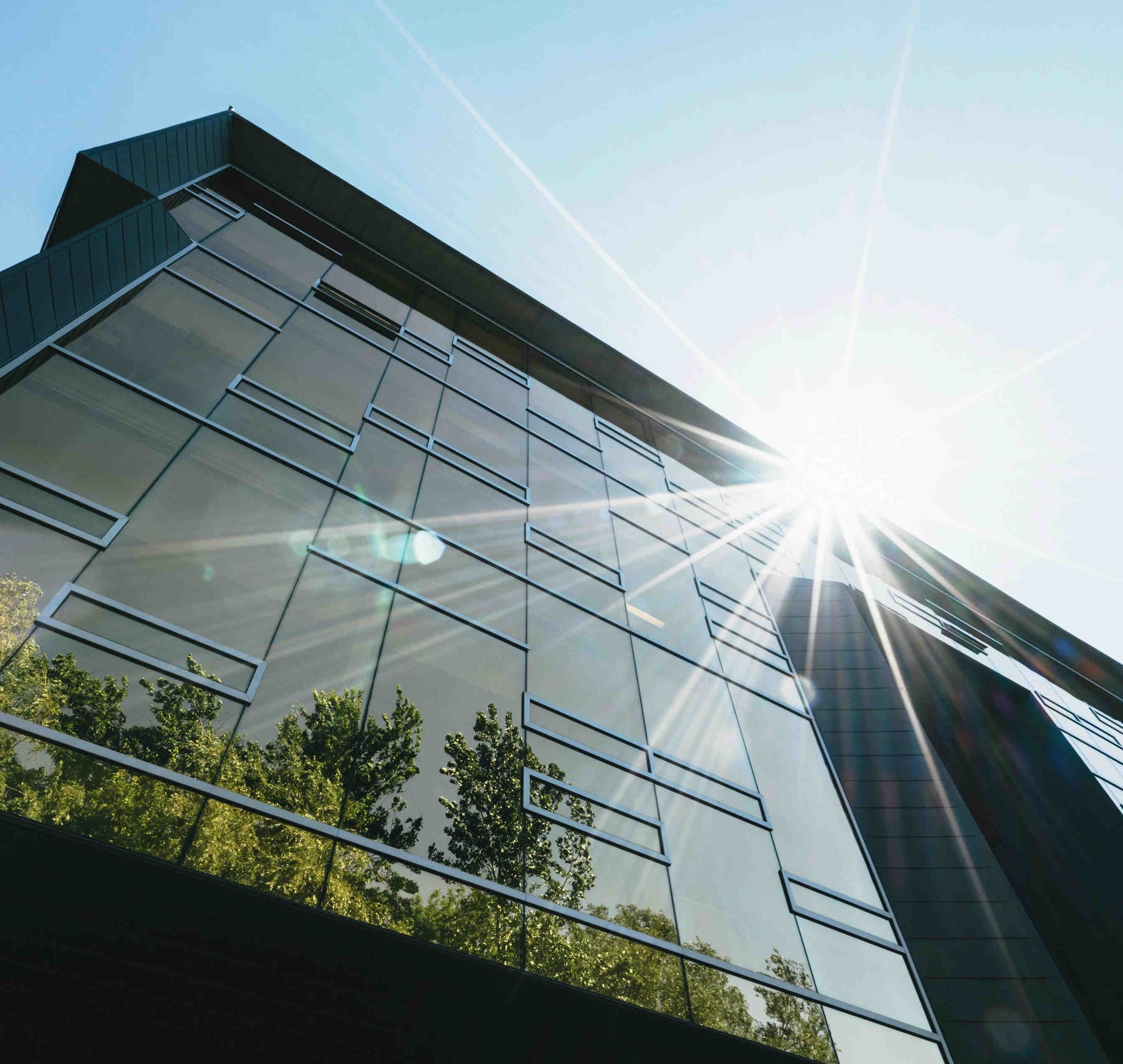 Trees reflected in glass building